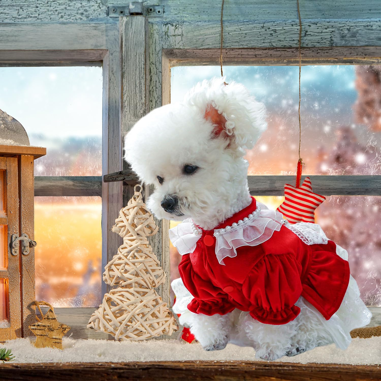 Fladorepet Dog Christmas Costume Outfits,Red Velvet Small Dog Bowknot Pearl Dress Tutu Skirt, Winter Cat Clothes Pet Apparel(Red