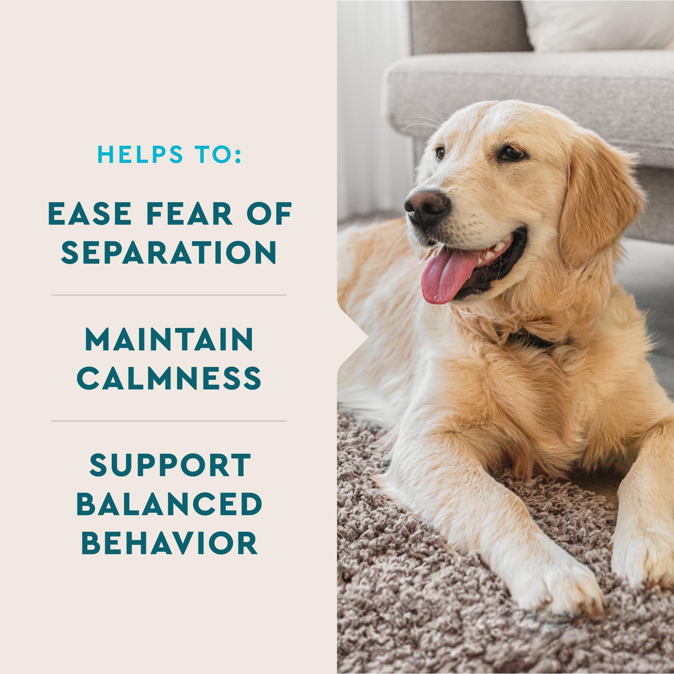 VetIQ Calming Support Supplement for Dogs, Calming Chews Help Manage Stress and Promote Relaxation, Anxiety Relief for Dogs, Mad