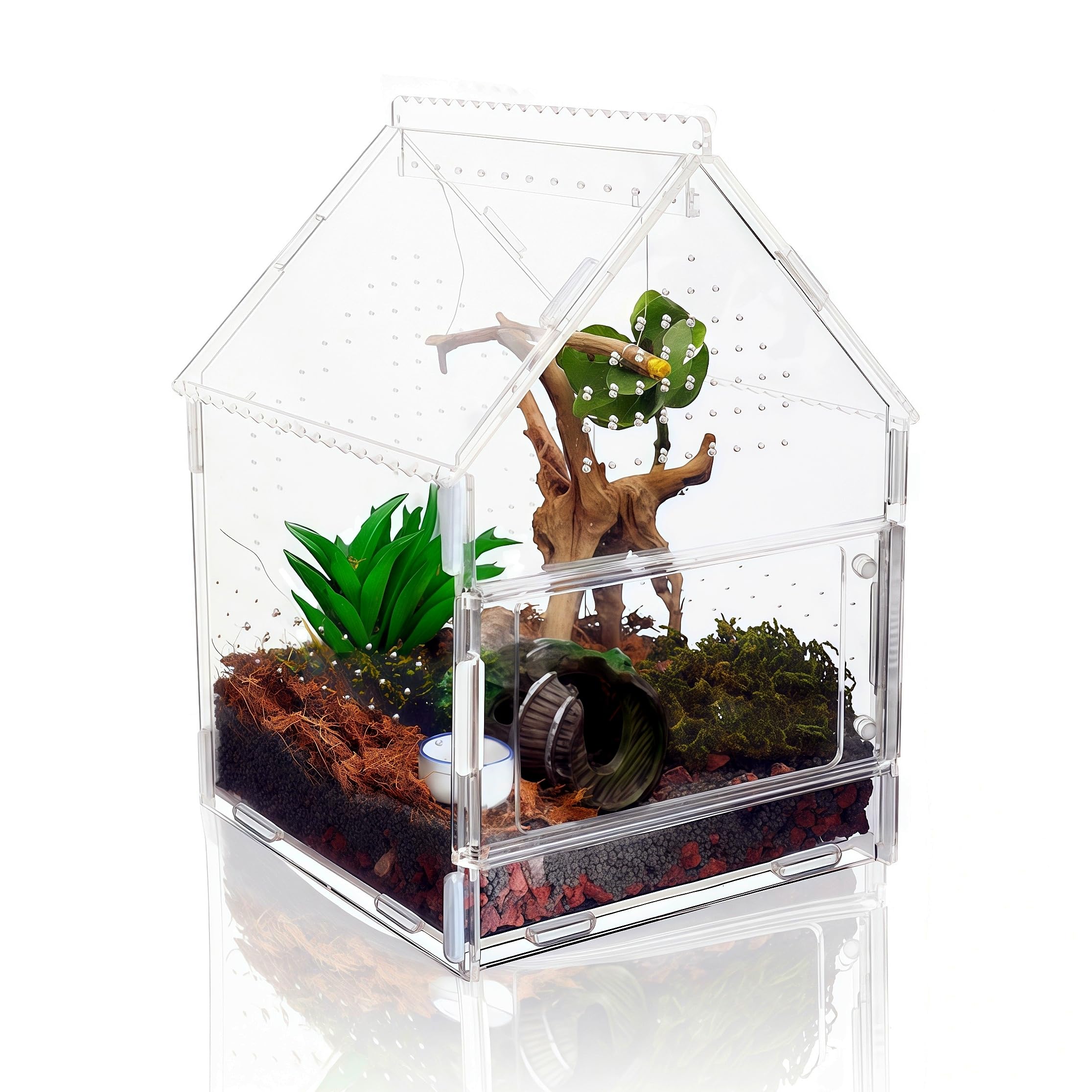 Acrylic Jumping Spider Enclosure with Magnetic Front Door - 360 View Reptile Terrarium for Tarantulas, Insects Hermit Crab - Inc