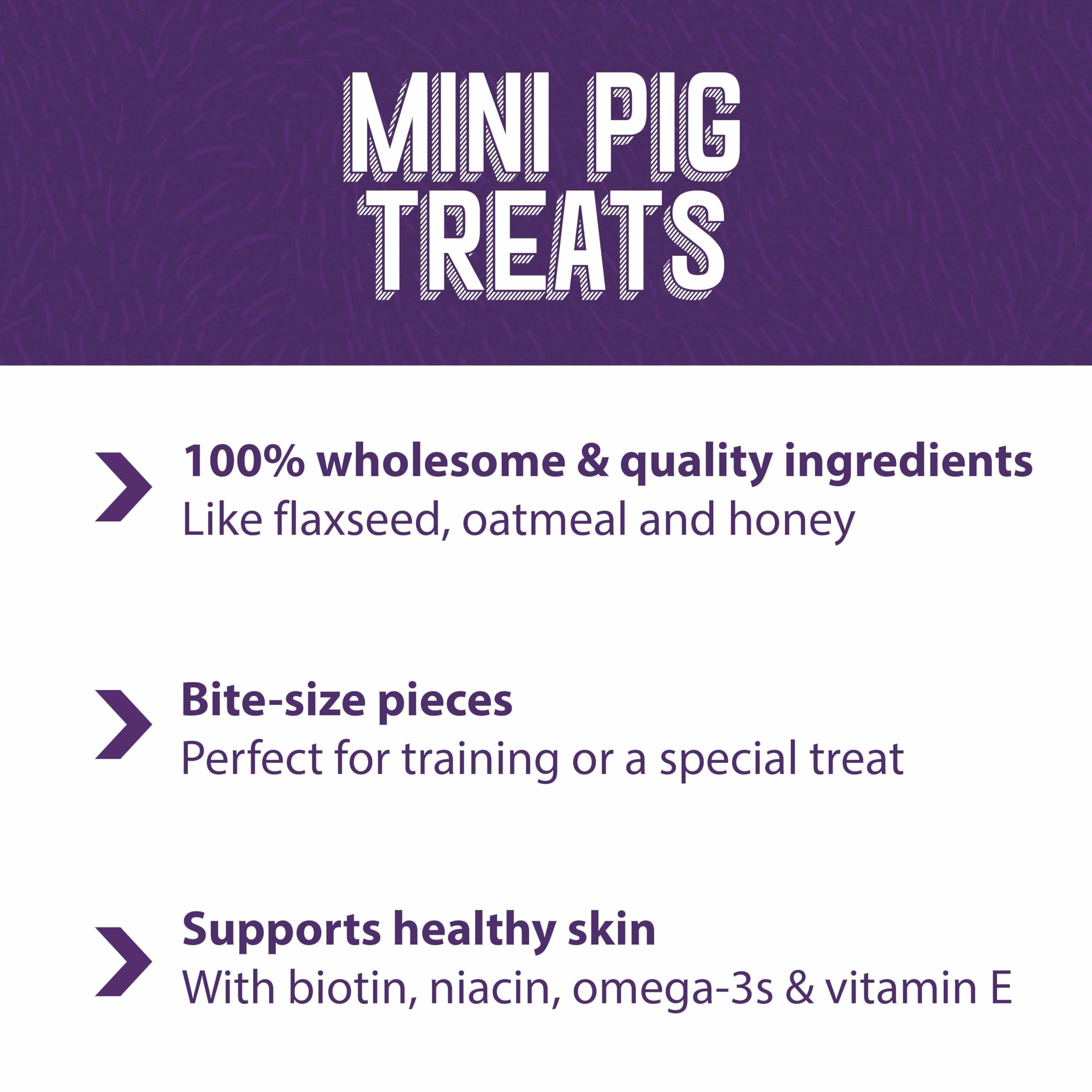 Mazuri Mini Pig Treats - Oat & Honey, 6 lb.