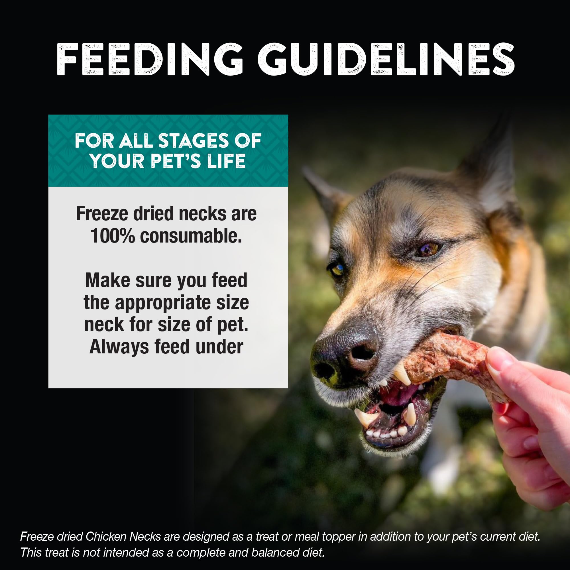 Northwest Naturals Raw Rewards Freeze-Dried Chicken Neck Treats for Dogs and Cats - Bite-Sized Pieces - Healthy, 1 Ingredient, H