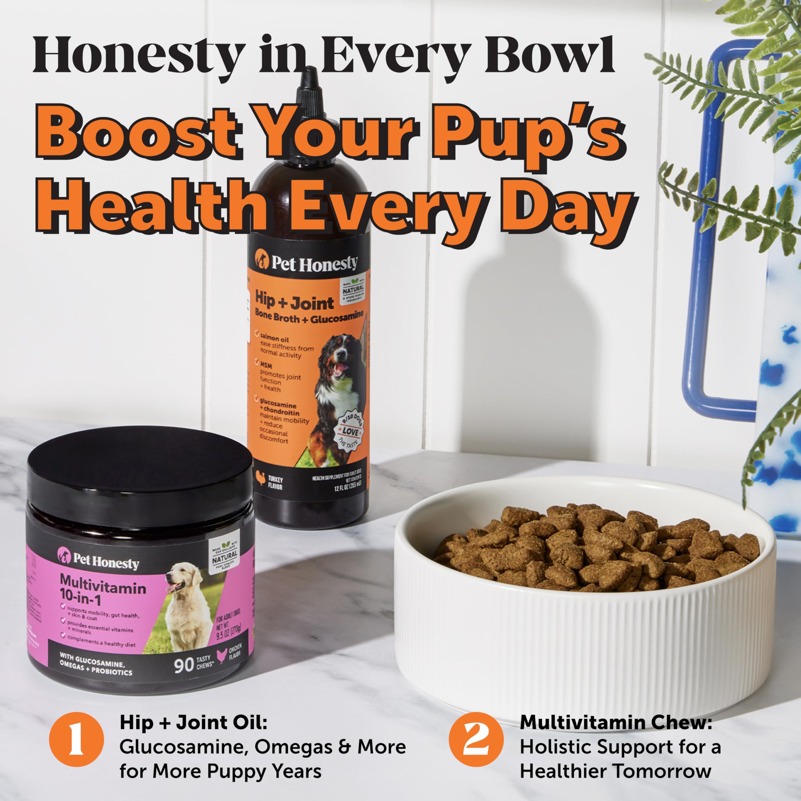Pet Honesty Dog Joint Supplement with Salmon Oil for Dogs - Ease Stiffness, Reduce Discomfort & Support Joint Mobility Liquid Su