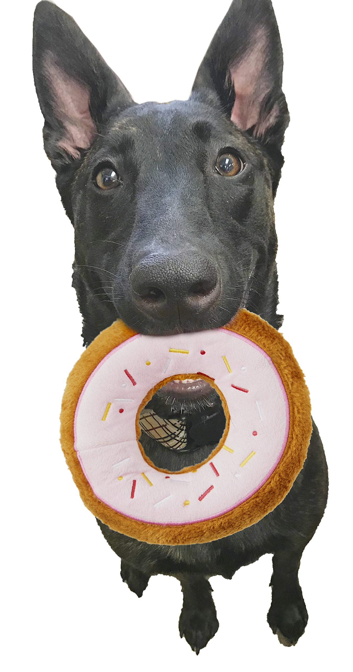Spot Tasty Donuts Plush Toy For Dogs 7.5'