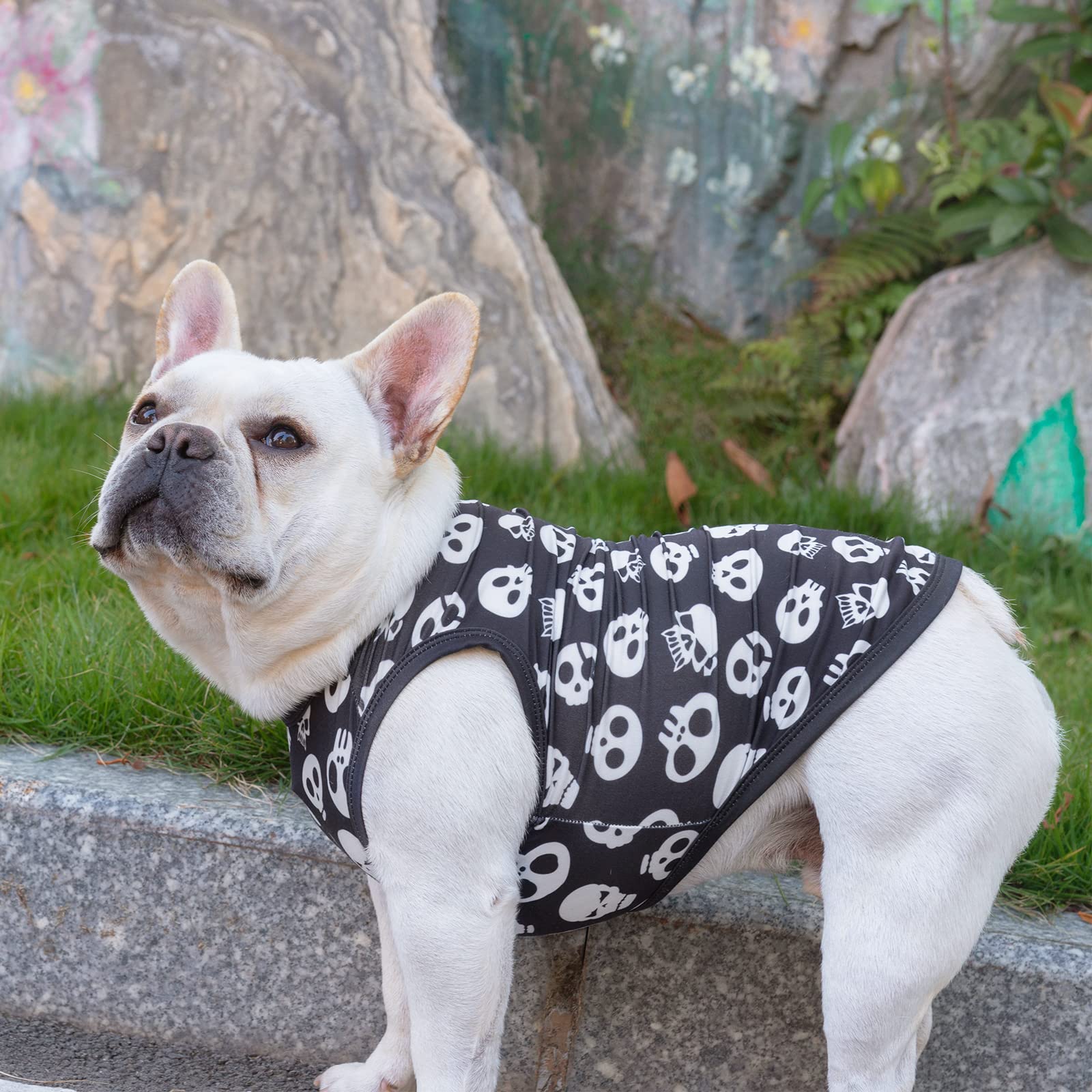 Cutebone Skulls Dog Shirts 2-Pack Soft Pet Clothes Breathable Summer Vest For Small Puppy And Stretchy Cat Apparel 2Bx07S