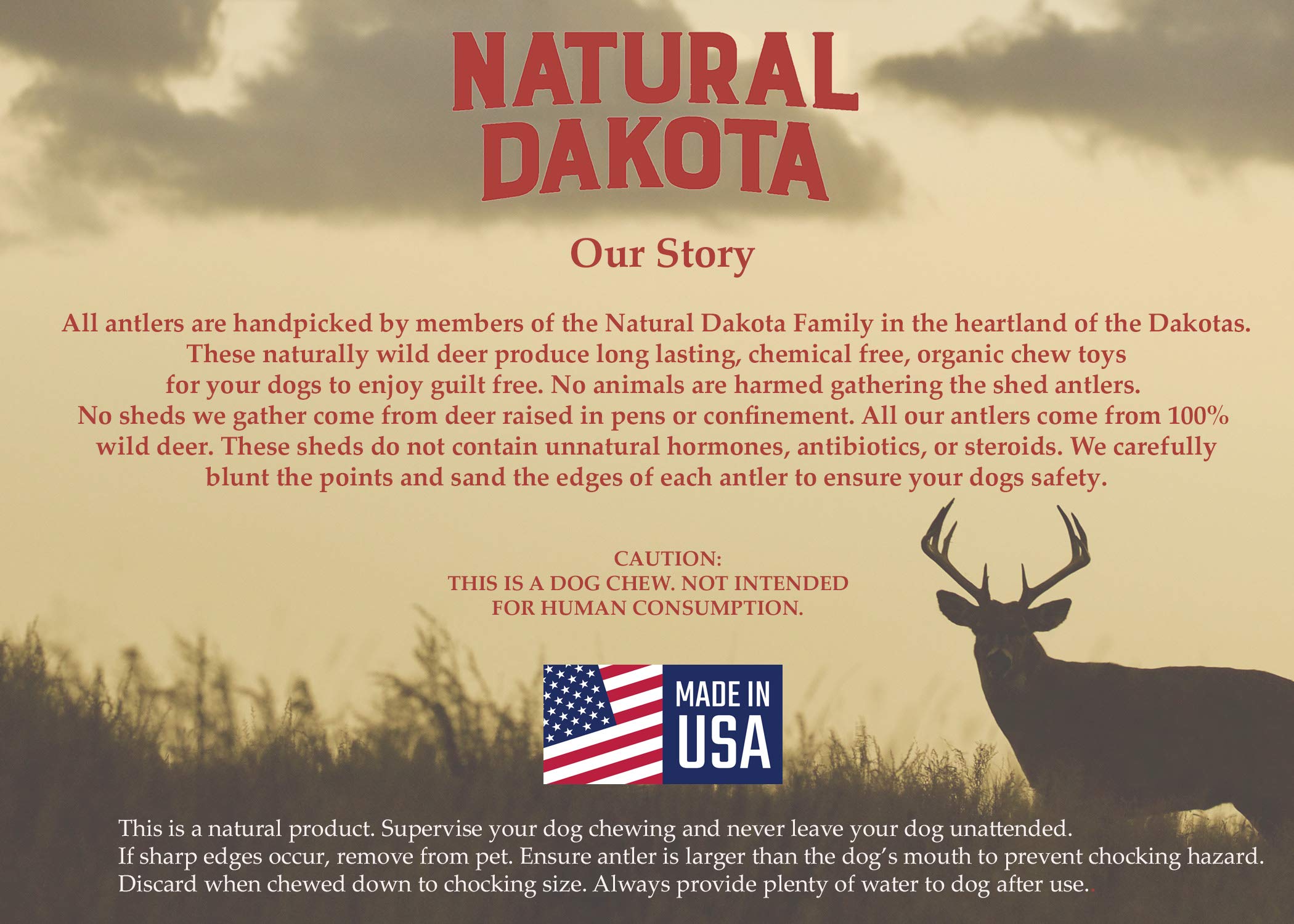 Natural Dakota Premium Deer Antler Chew Toys (X-Large) Magnum