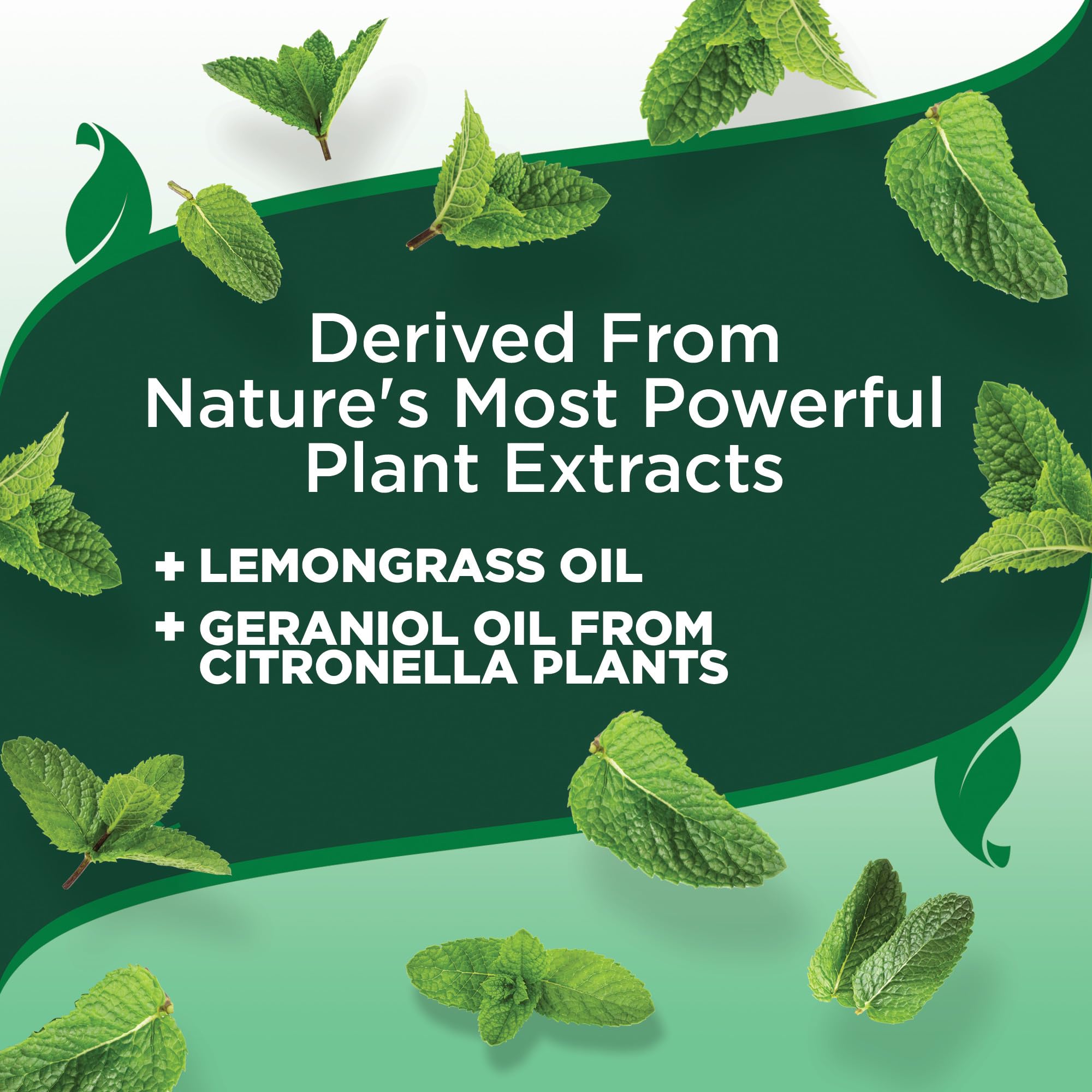 Vet's Best Mosquito Repellent Spray for Dogs & Cats - Natural, DEET-Free, 8 oz - Multi Natural