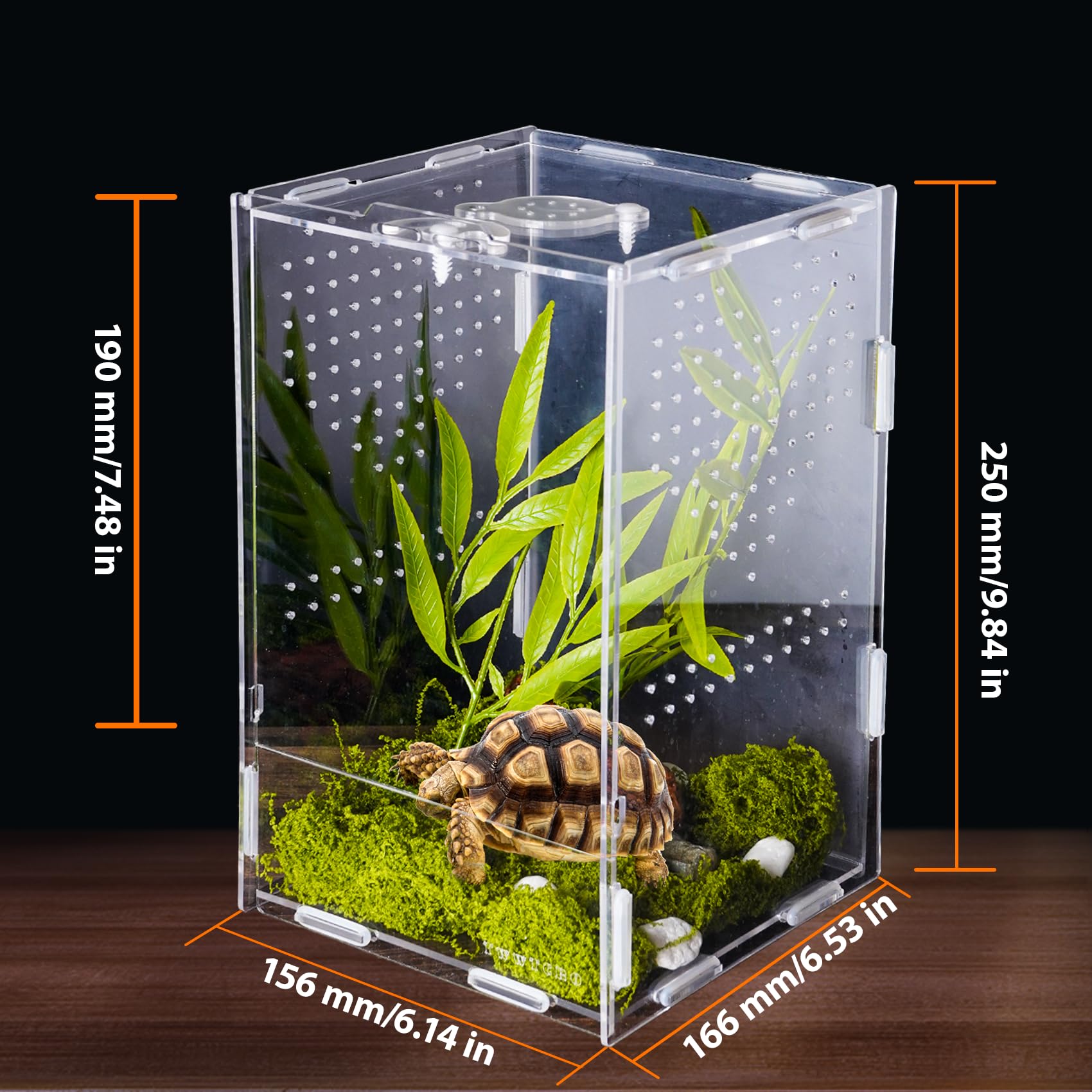 Jumping Spider Enclosure, Acrylic Insect Terrarium, Bug Enclosure, Reptile Cage, Mantis Habitat, Arboreal Tarantula Enclosure, S