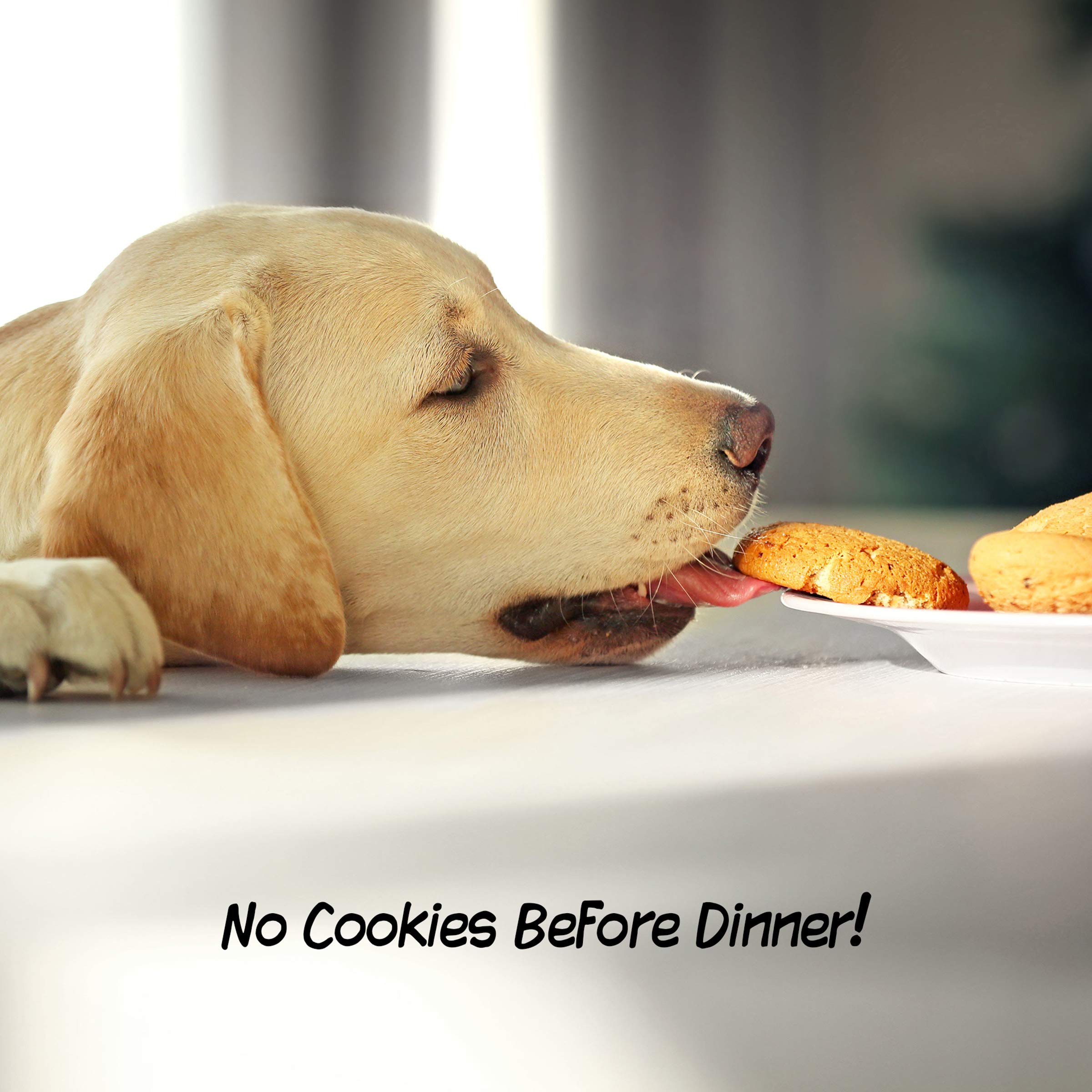 Pet Gate - 4-Panel Indoor Foldable Dog Fence For Stairs, Hallways, Or Doorways - 73X24-Inch Freestanding Dog Gates By Petmaker (Brown)