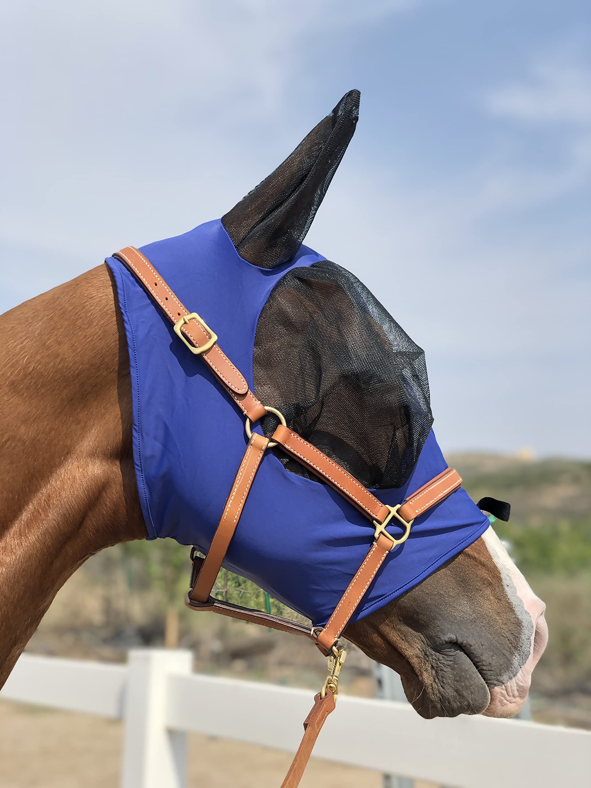 Horse Fly Mask Super Comfort Horse Fly Mask Elasticity Fly Mask with Ears We Only Make Products That Horses Like (DK Blue, M)