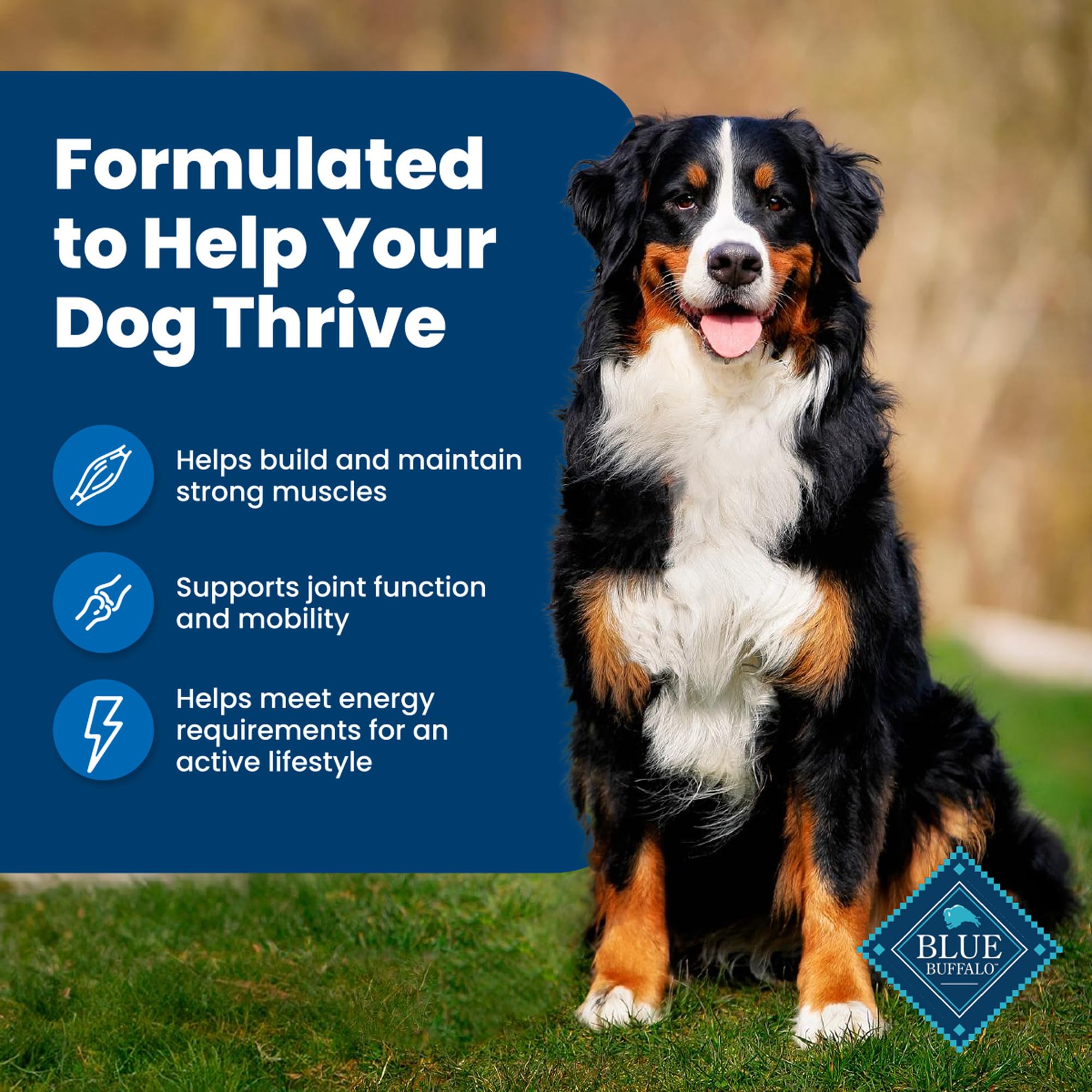 Blue Buffalo Life Protection Formula Natural Adult Dry Dog Food, Chicken and Brown Rice 30-lb