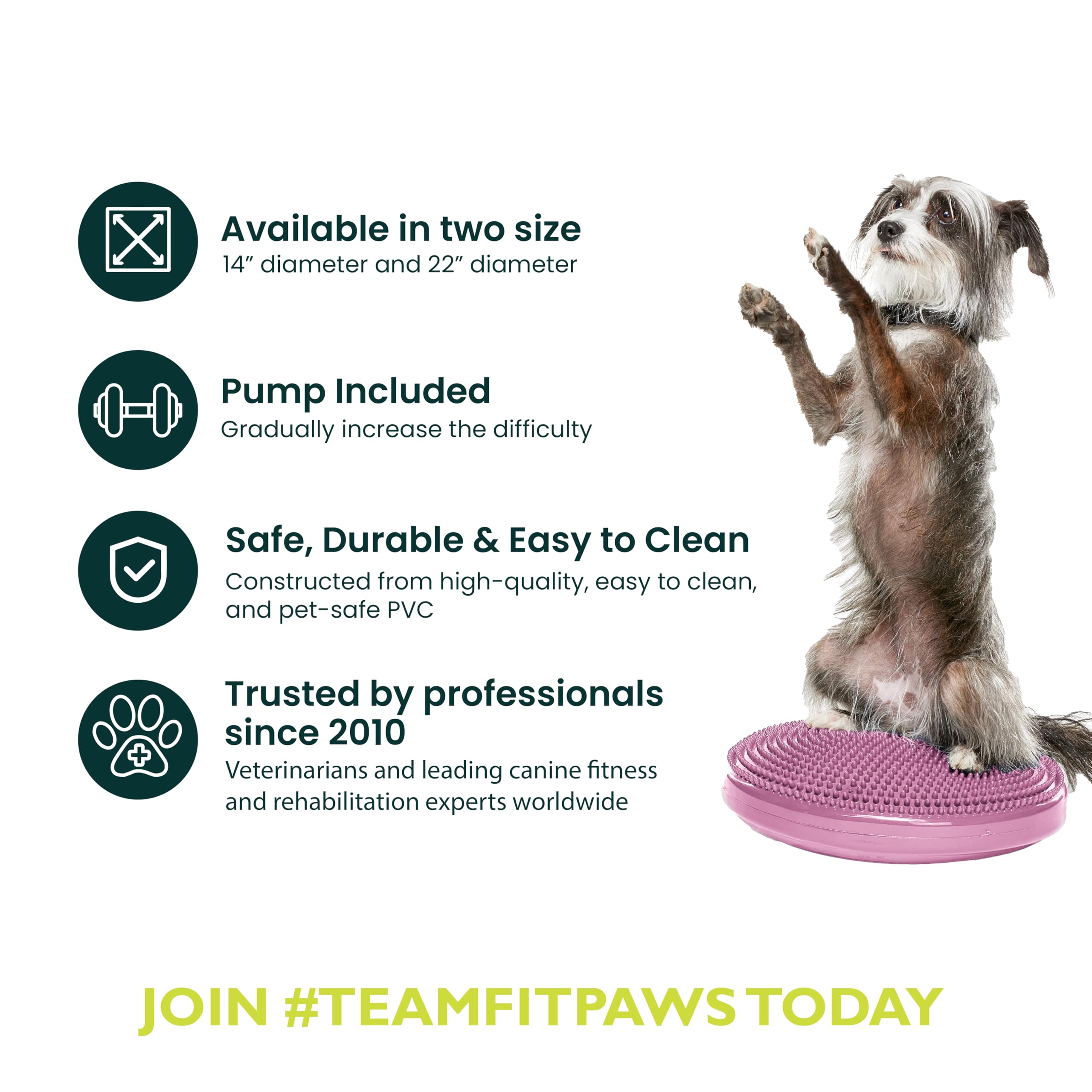 Fitpaws® Dog Balance Disc - Razzleberry, 14' | Dog Exercise Equipment | Workout Tool For Strength, Core, Stability & Rehabilitation