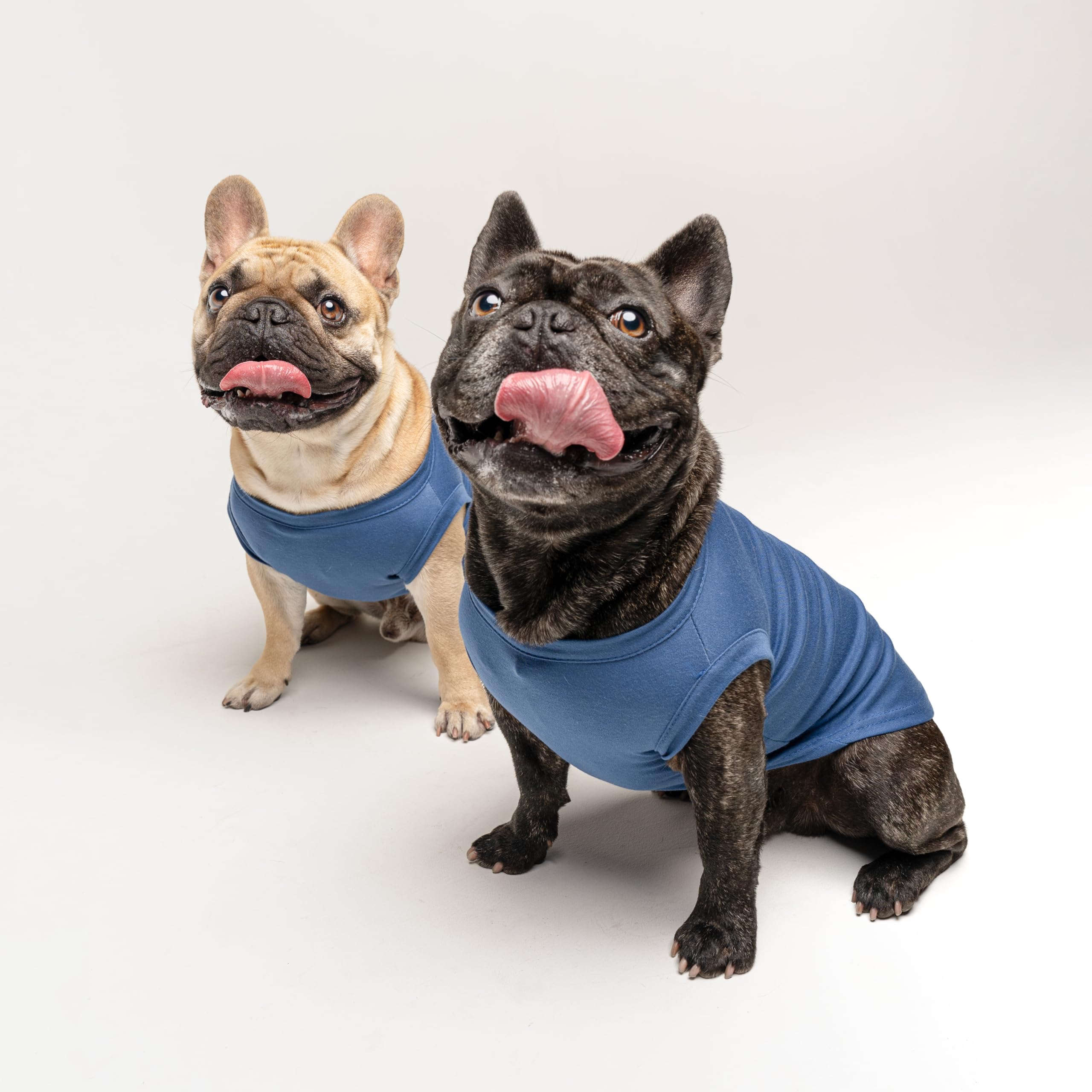 Soon To Be Big Brother Dog Tee Shirt | Sleeveless | Pregnancy Announcement | New Baby | Gender Reveal | Photoshoot (Royal, Xx-La