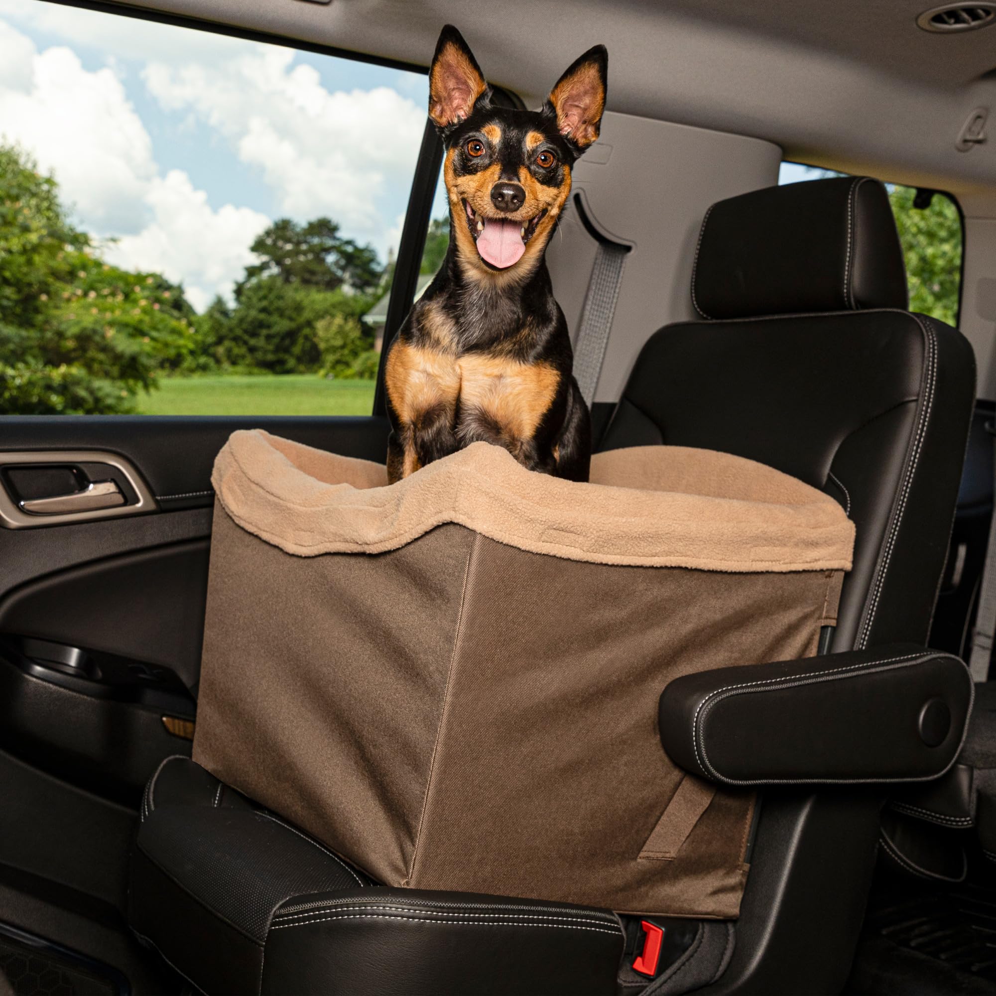 Petsafe Happy Ride Dog Safety Seat - Pet Booster Seat For Cars, Trucks And Suvs - Included Seat Belt Tether - Durable Liner Is M
