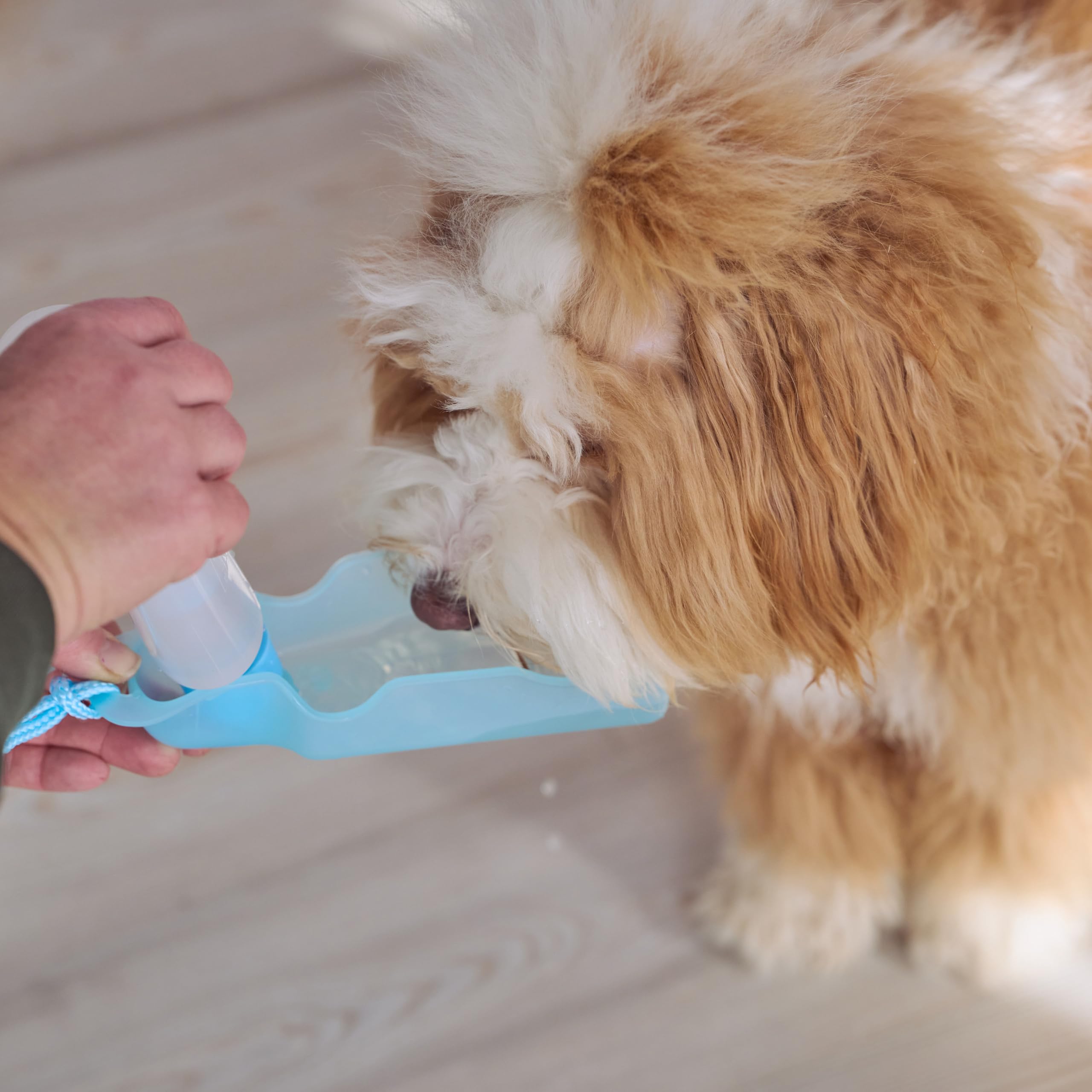 Ethical Pet Handi-Drink 9-Ounce Mini Pet Waterer