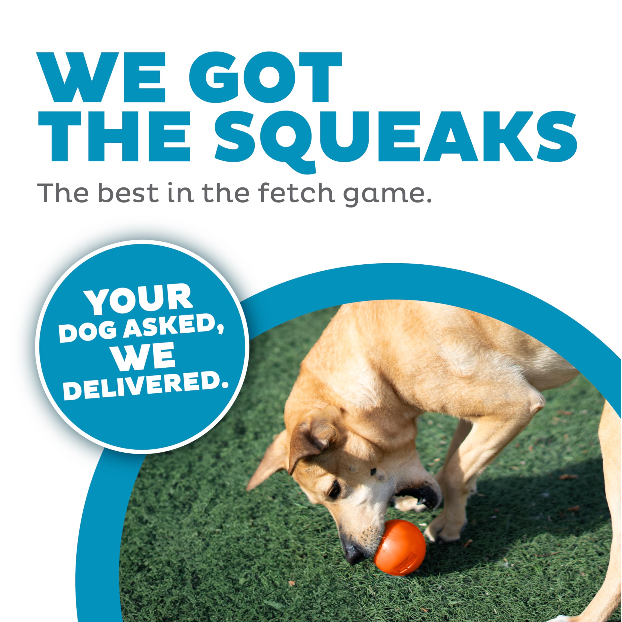 Outward Hound By Planet Dog Squeak Ball Bouncy Fetch Dog Toy, Orange