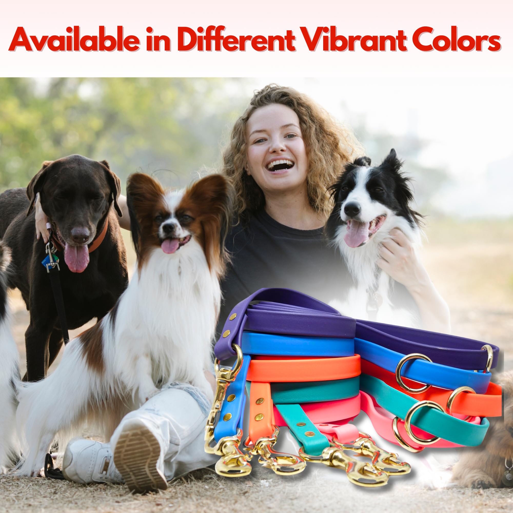 Jim Hodges Dog Training Gummy Dog Leash, Biothane, Dog Training Leash, Made In The Usa, 4 Feet, Various Sizes & Colors (1/2, Brown)