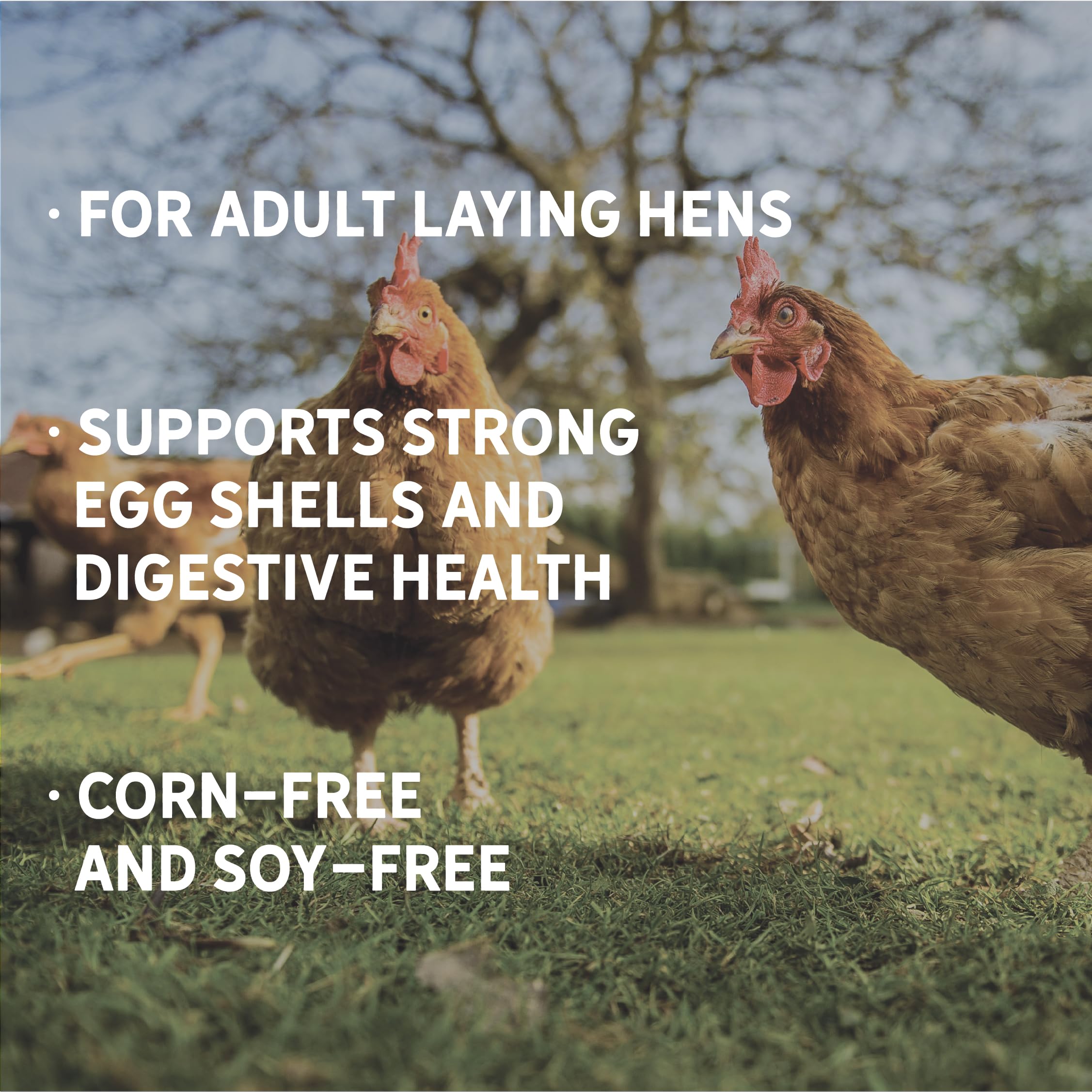 New Country Organics | Corn-Free Classic Layer Chicken Feed for Laying Hens | Corn-Free and Soy-Free | 17% Protein | Certified O