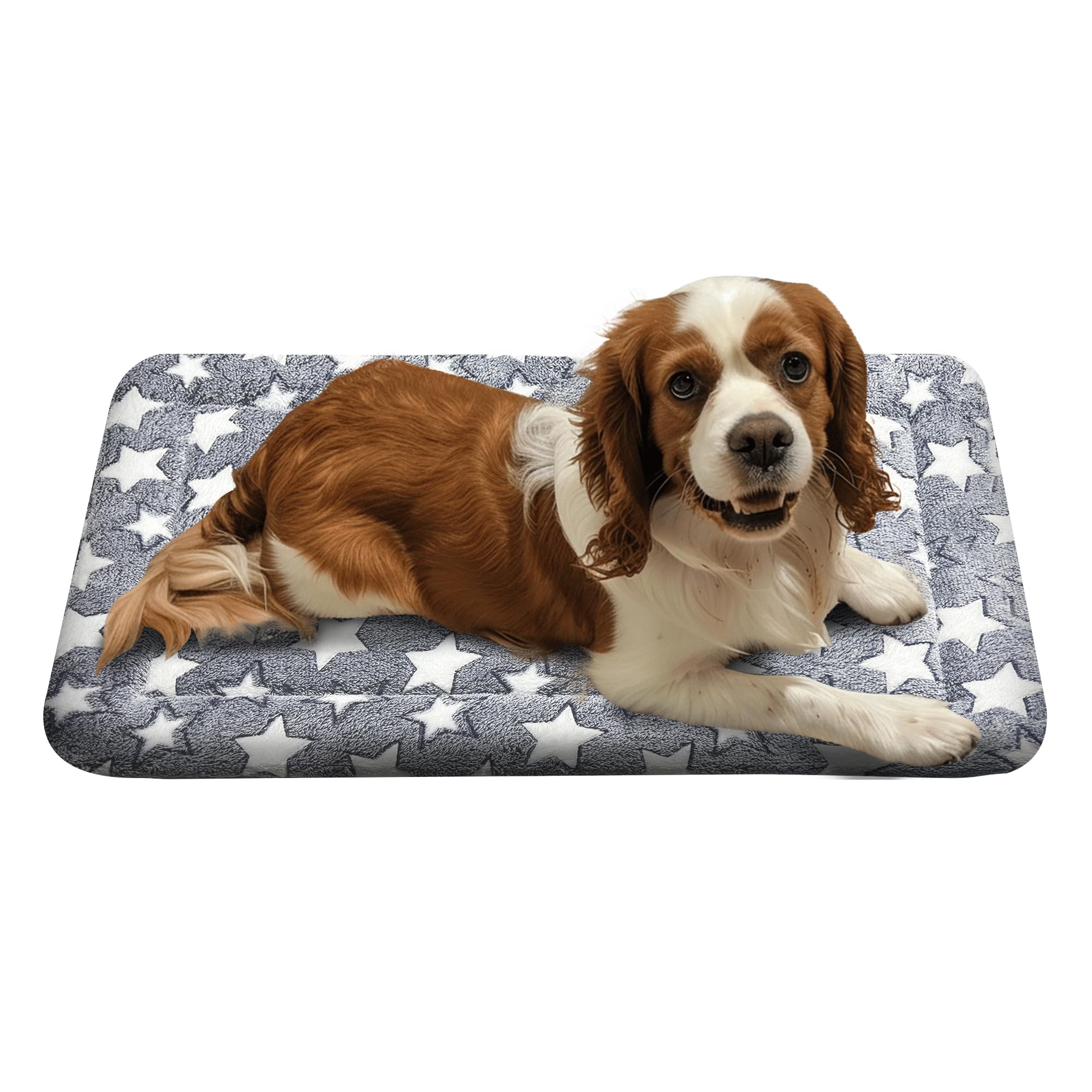 pobopobo Dog Bed Mat, Reversible Crate Pads for Small/Medium/Large Dogs & Cats Sleeping, Portable & Soft, Dog Beds Crate Pad - M