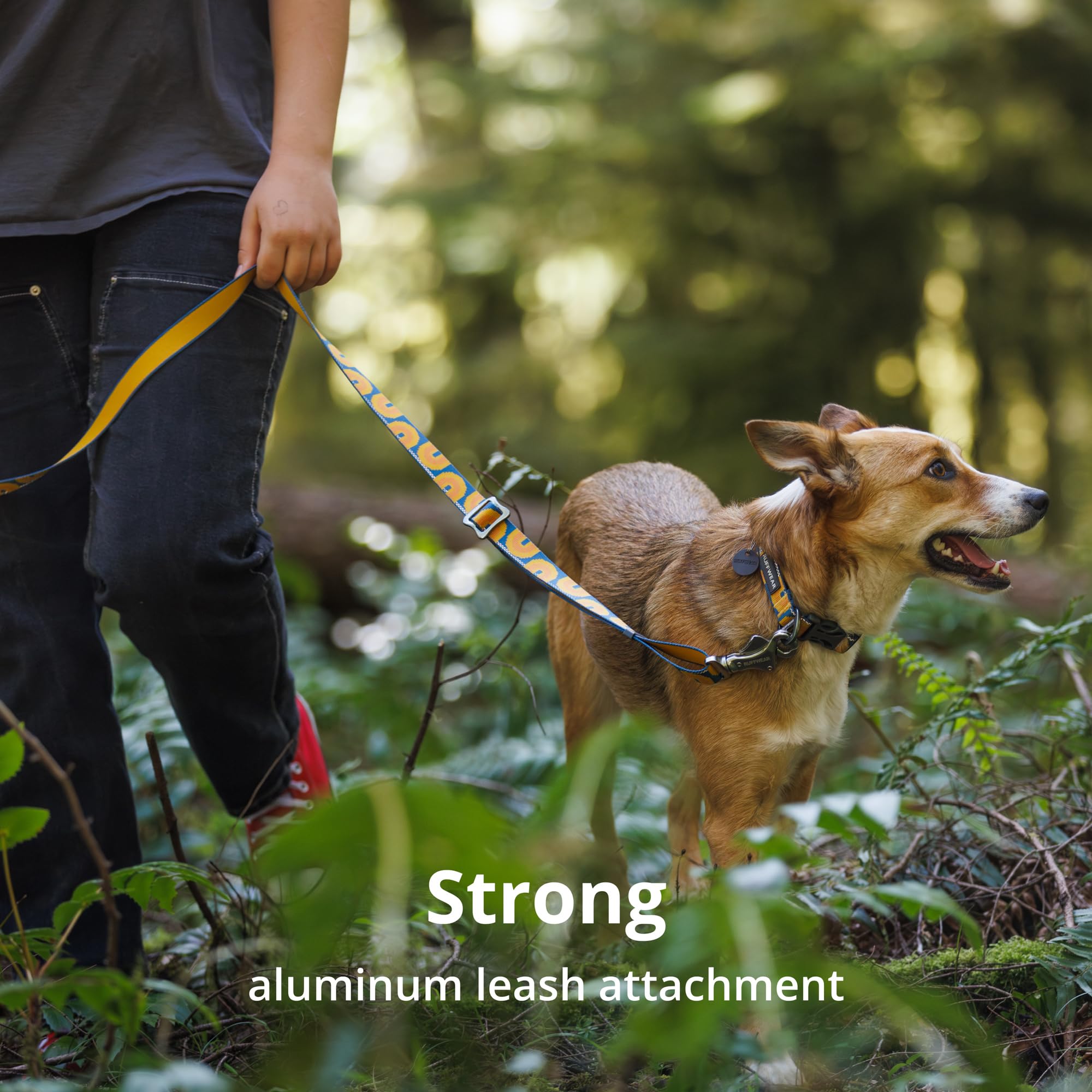 Ruffwear, Crag Dog Collar, Reflective And Comfortable Collar For Everyday Use, Midnight Wave, 11''-14''