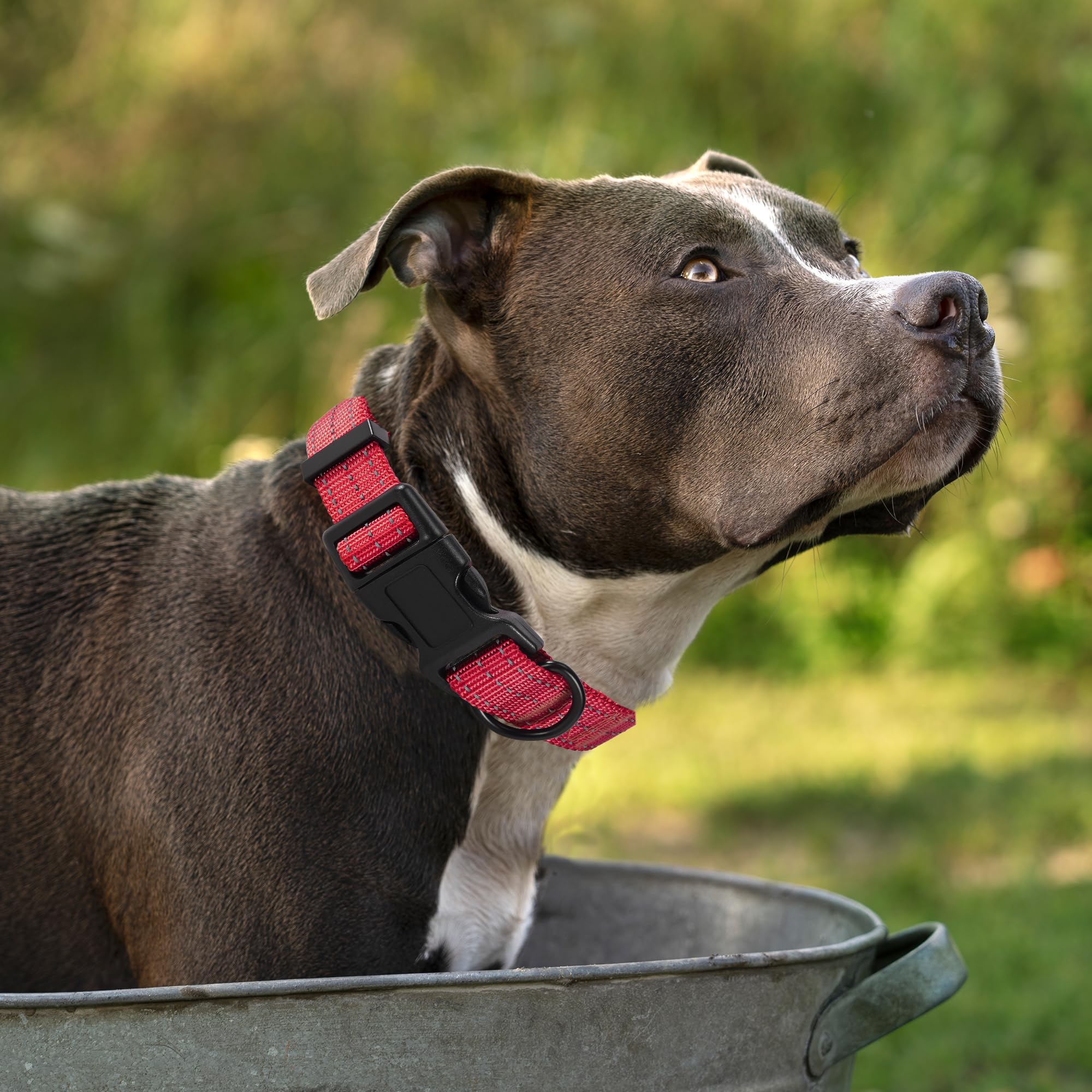 Mile High Life Dog Collar | Nylon Reflective Dog Collars | Light Weight Puppy Collars | Red Dog Collars For Medium Dogs (Solid R