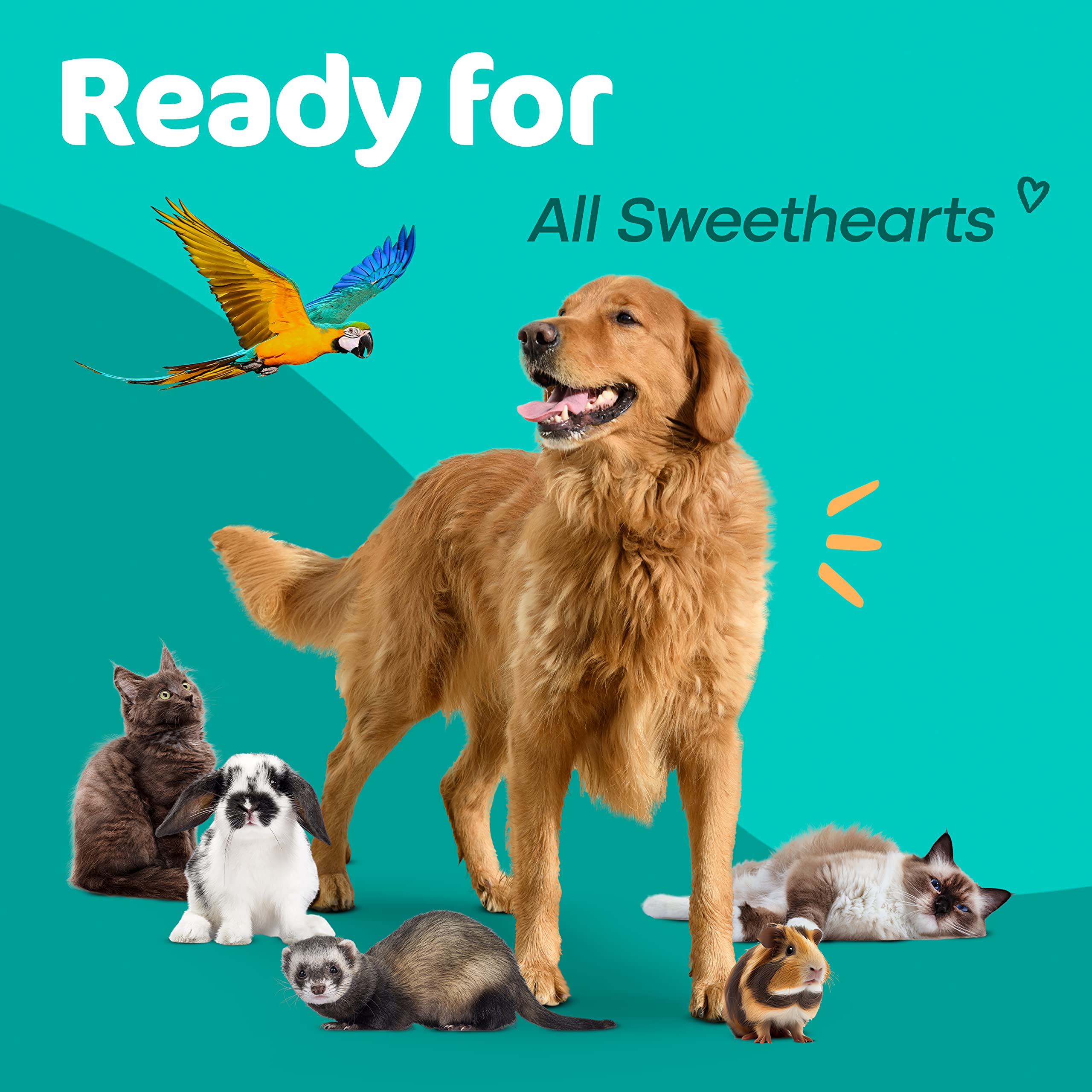 Sunny & Honey Pet Stain & Odor Miracle - Enzyme Cleaner For Dog Urine Cat Pee Feces Vomit, Enzymatic Solution Cleans Carpet Rug Car Upholstery Couch Mattress Furniture, Stain Eliminator (32Fl Oz)