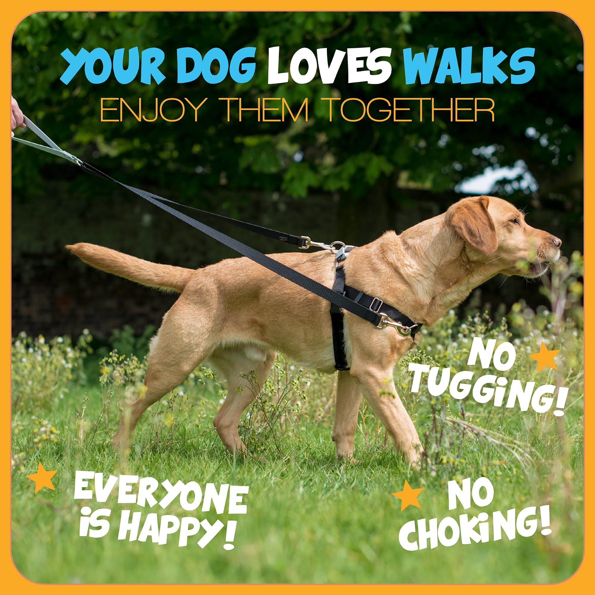 2 Hounds Design - Freedom No-Pull Harness & Training Leash In Green And Blue | Dual Leash Loops, No Pulling On Walks | Lined To