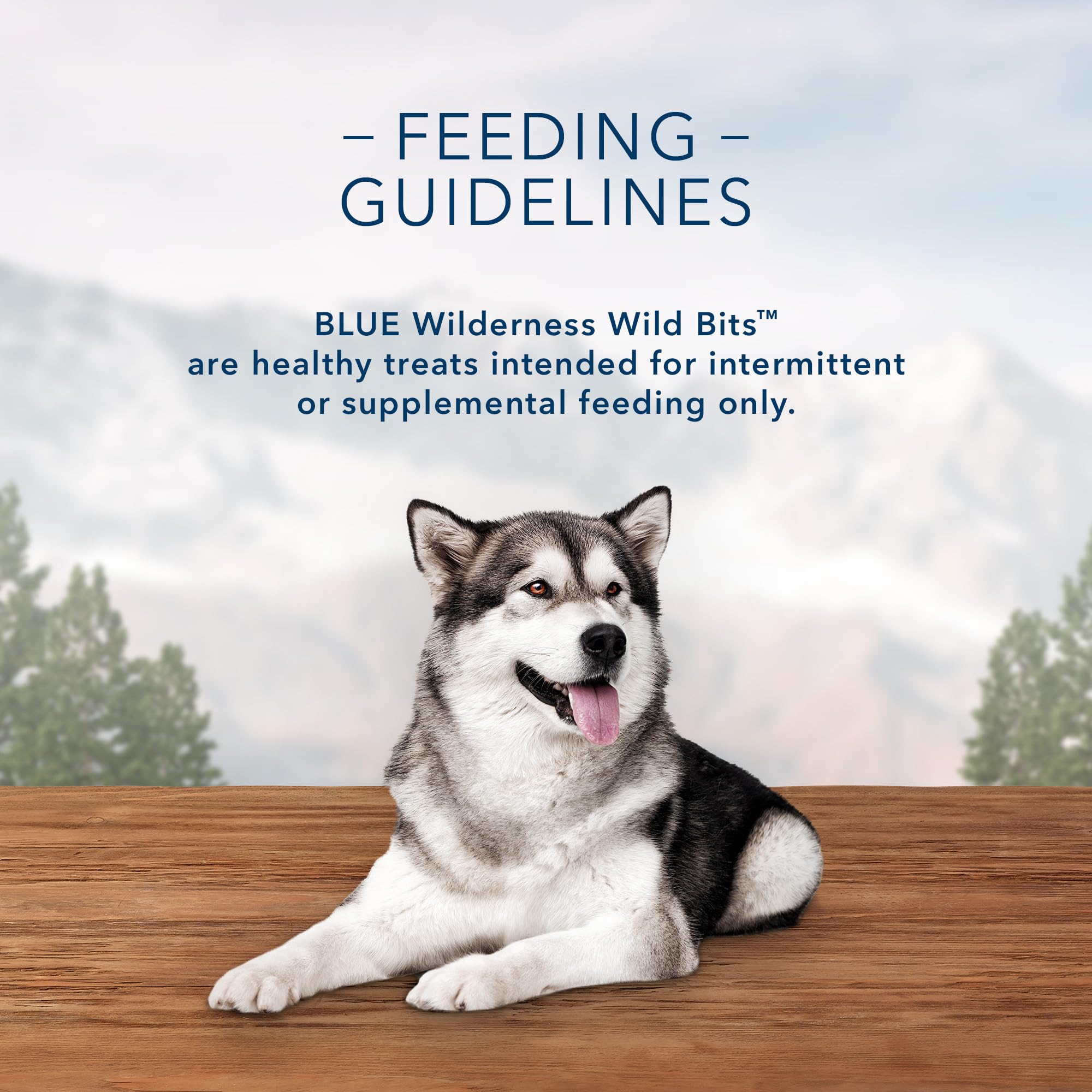 Blue Buffalo Wilderness Trail Treats Wild Bits High Protein Grain Free Soft-Moist Training Dog Treats, Salmon Recipe 10-oz Bag
