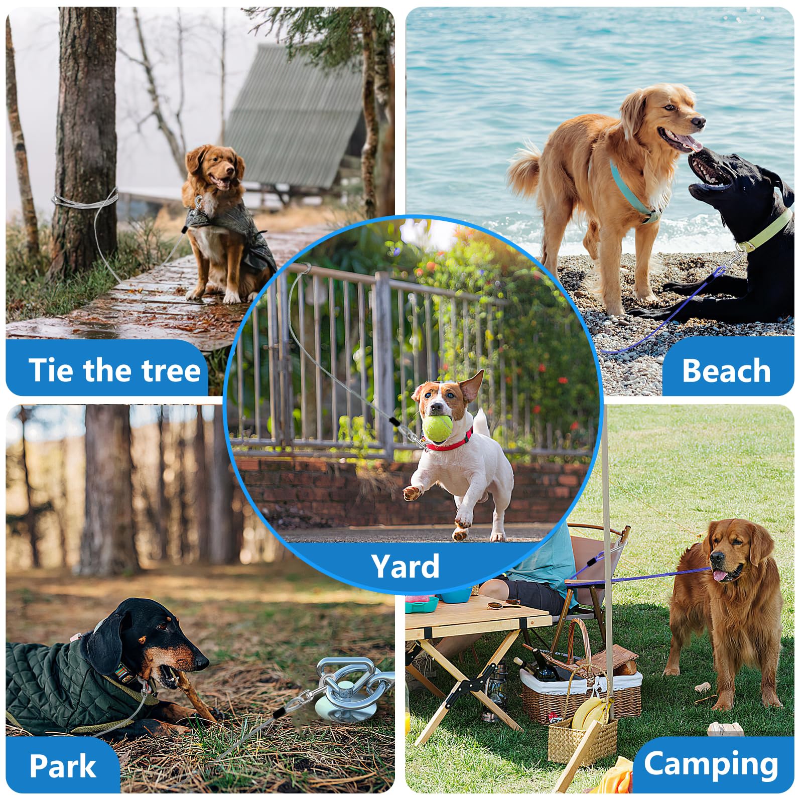 40Ft Dog Tie Out Cable, Dog Leash Heavy Duty Tie Out Cable For Large Dogs Up To 250Lbs Pull Force, Dogs Runner For Yard Outdoor