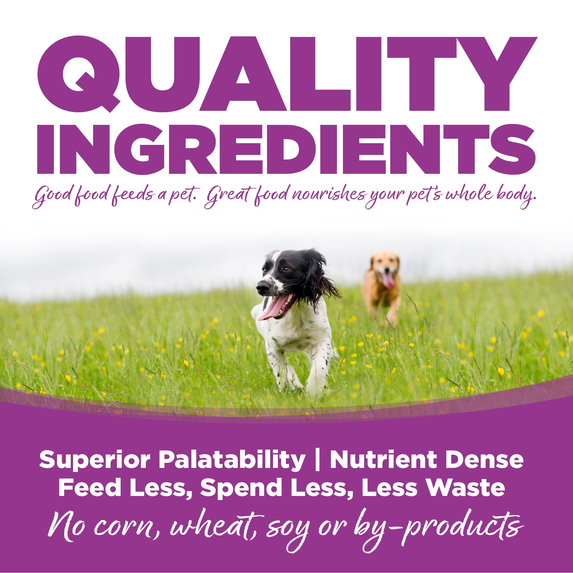 NutriSource Puppy Food for Large Breeds, Chicken and Rice, 12LB