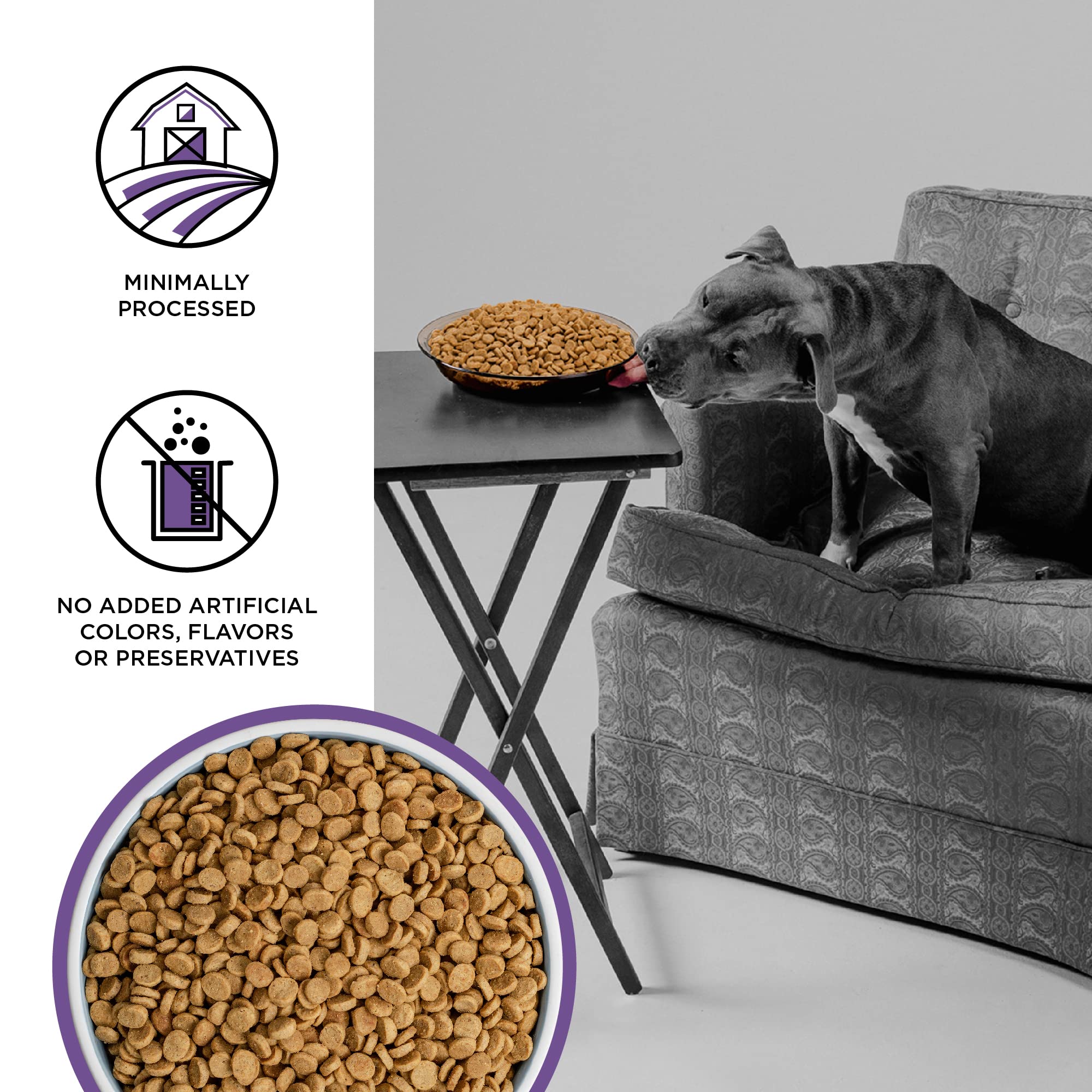 BIXBI Liberty Grain Free Dry Dog Food, Lamb Recipe, 4 lbs - Fresh Meat, No Meat Meal, No Fillers - Gently Steamed & Cooked - No