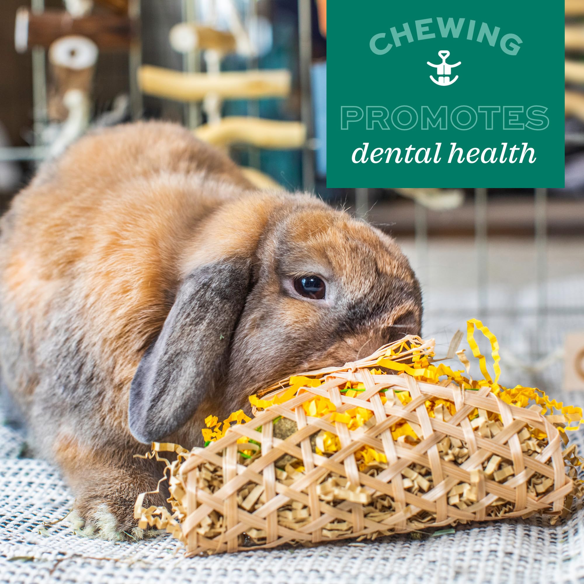 Oxbow Enriched Life Timbells, Rabbit Toys, Guinea Pig Toys, Enrichment for Bunny, Guinea Pig, Hamster, Rabbit, Chinchilla, Timot