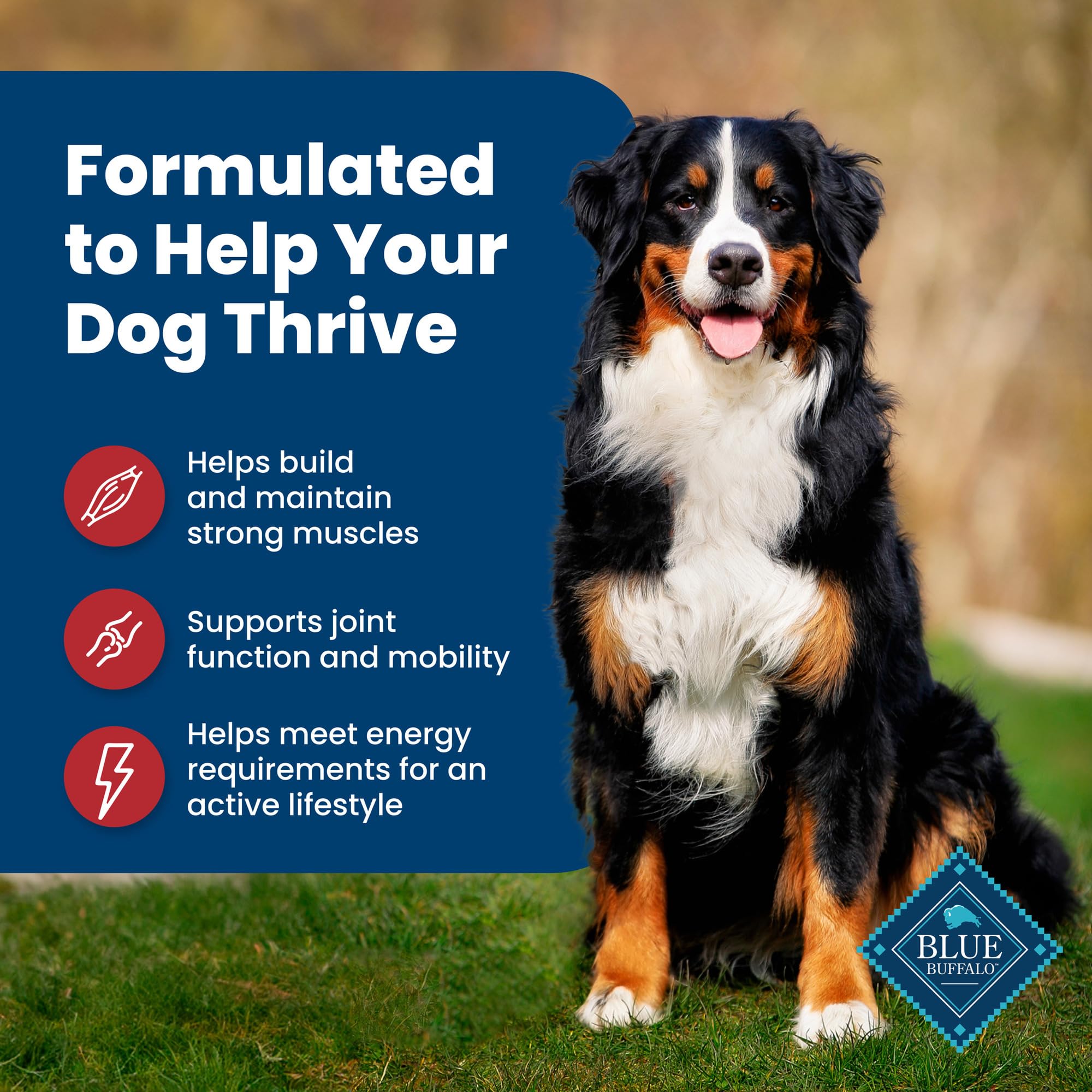 Blue Buffalo Life Protection Formula Adult Dry Dog Food, Helps Build and Maintain Strong Muscles, Made with Natural Ingredients,