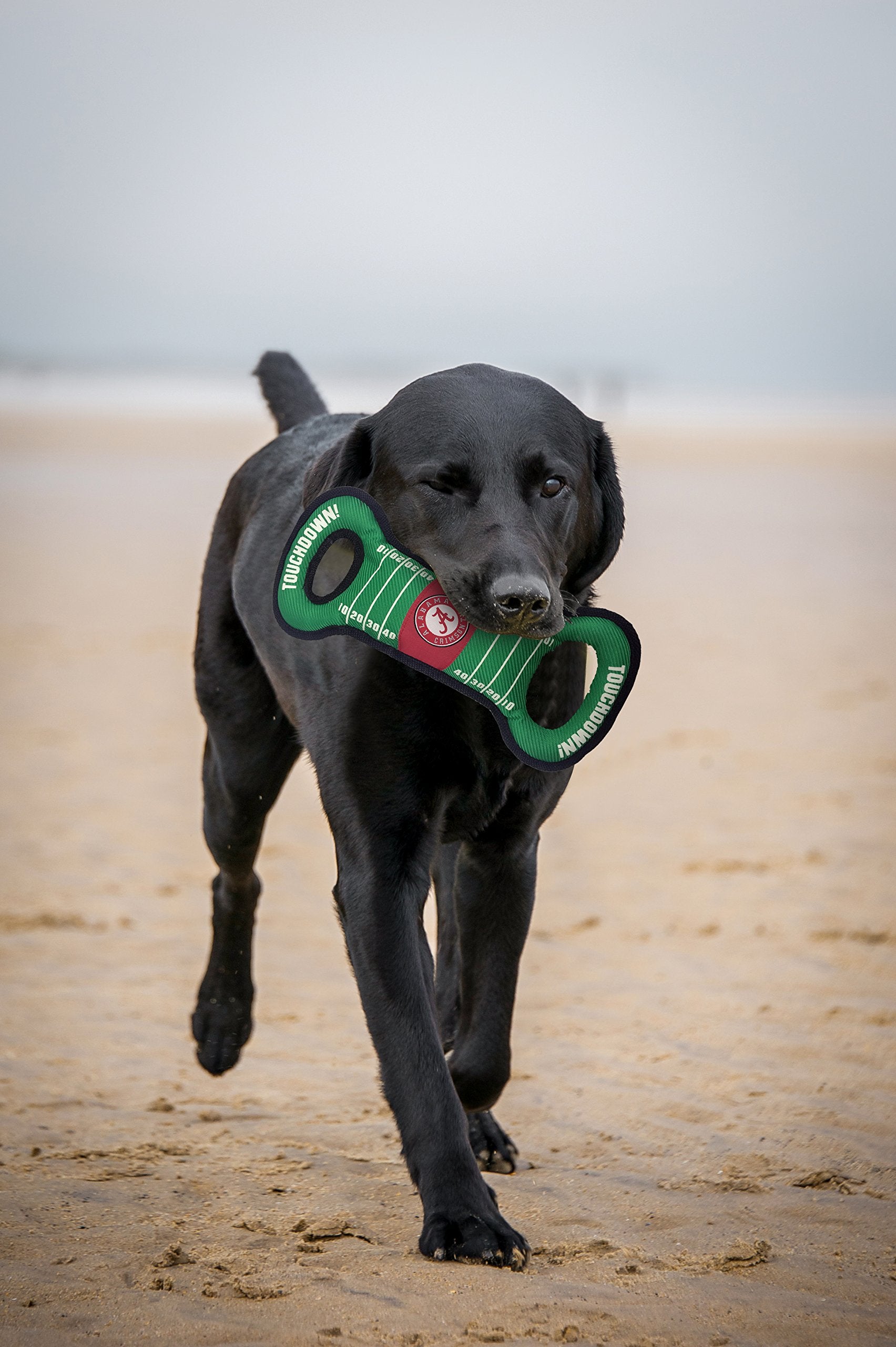 Pets First Ncaa Football Field Dog Toy With Squeaker. - Oklahome State Cowboys - For Tug, Toss, And Fetch. - Tough& Durable Pet