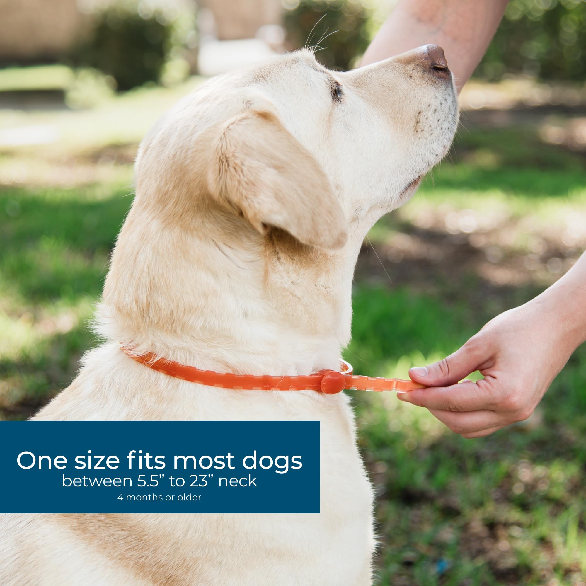 Wondercide Dog Collar - Flea, Tick, And Mosquito Repellent For Dogs - With Natural Essential Oils - Up To 4 Months Protection -