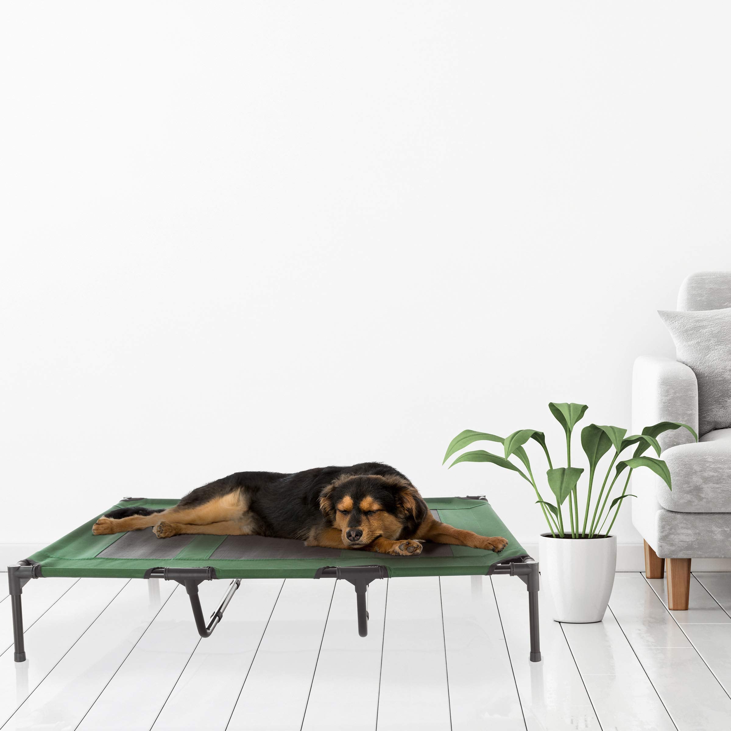 Elevated Dog Bed - 48X35.5 Portable Bed For Pets With Non-Slip Feet - Indoor/Outdoor Dog Cot Or Puppy Bed For Pets Up To 110Lbs By Petmaker (Green)
