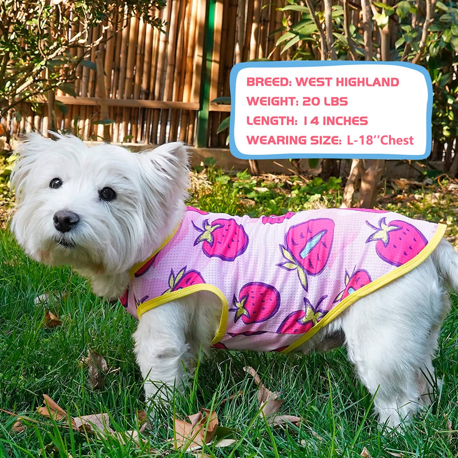 Kyeese 2 Pack Dog Shirts For Small Dogs Breathable Dog T-Shirts Soft Tank Top Sleeveless Vest Puppy Dog Tee Shirt Dog Apparel Great For Summer Strawberry Pattern, X-Large, Strawberry+Rose