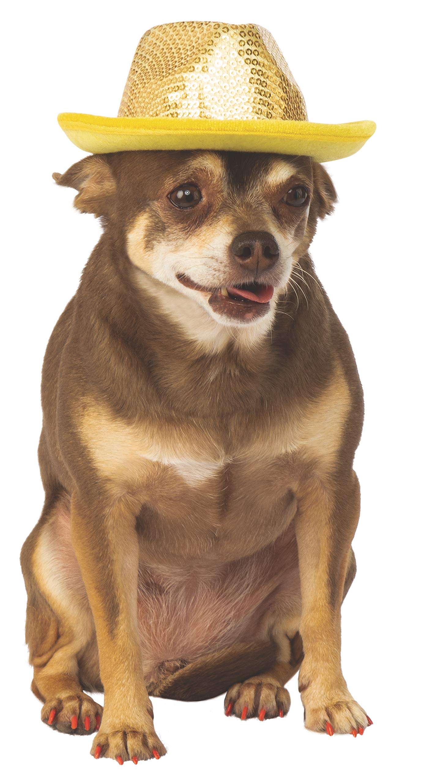 Rubie'S Fedora Pet Costume Accessory, Medium/Large, Gold Sequin