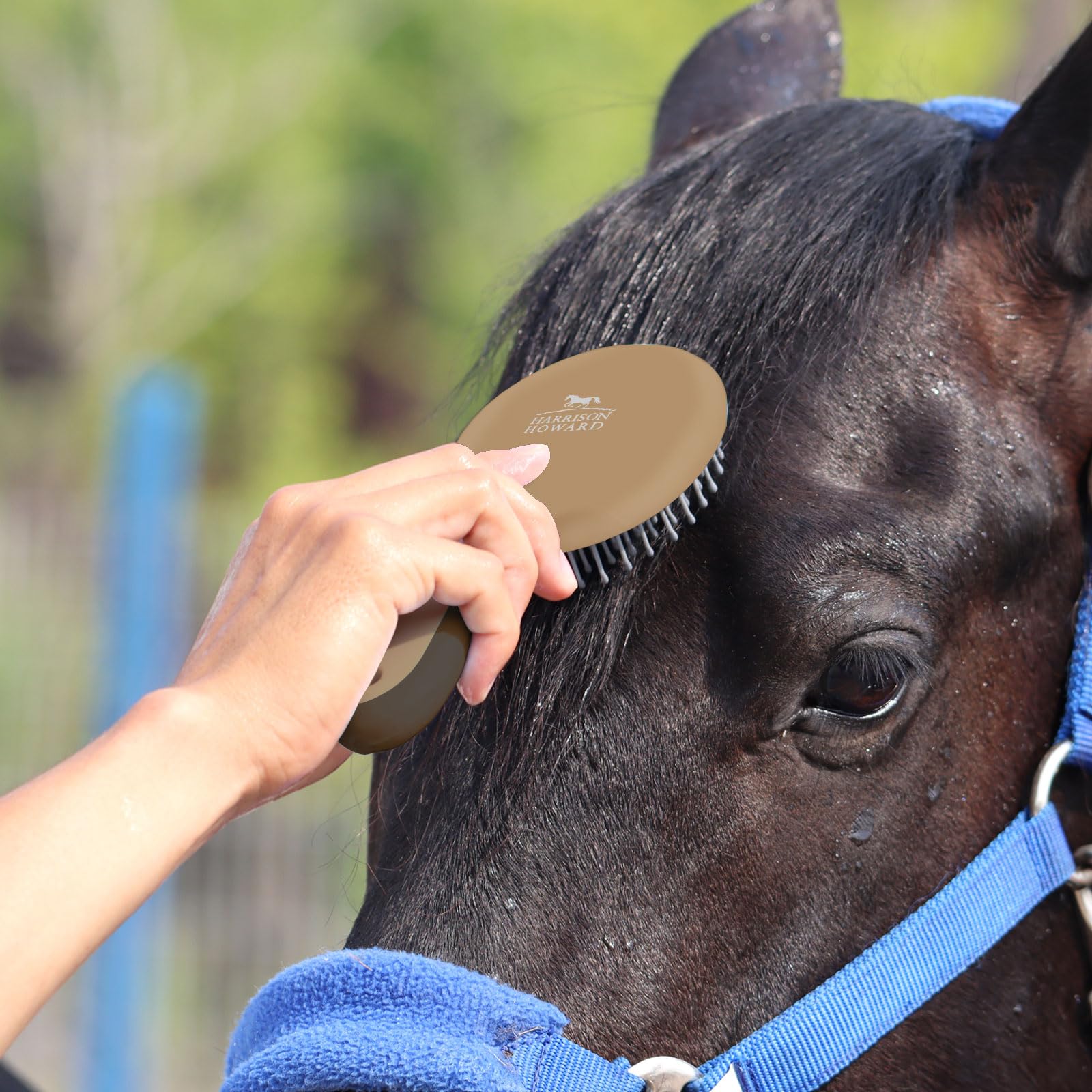 Harrison Howard Horse Mane And Tail Brush - Professional Grooming Brush, Equestrian Detangler, Non-Slip, Dark Brown