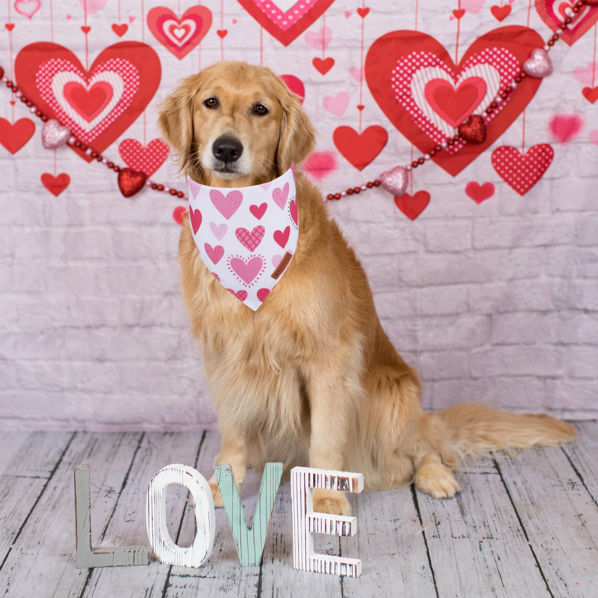 ADOGGYGO Valentine Dog Bandana, Colorful Heart Pet Scarf, Multi Size Offered, White Blue Valentine Heart Bandanas for Large and