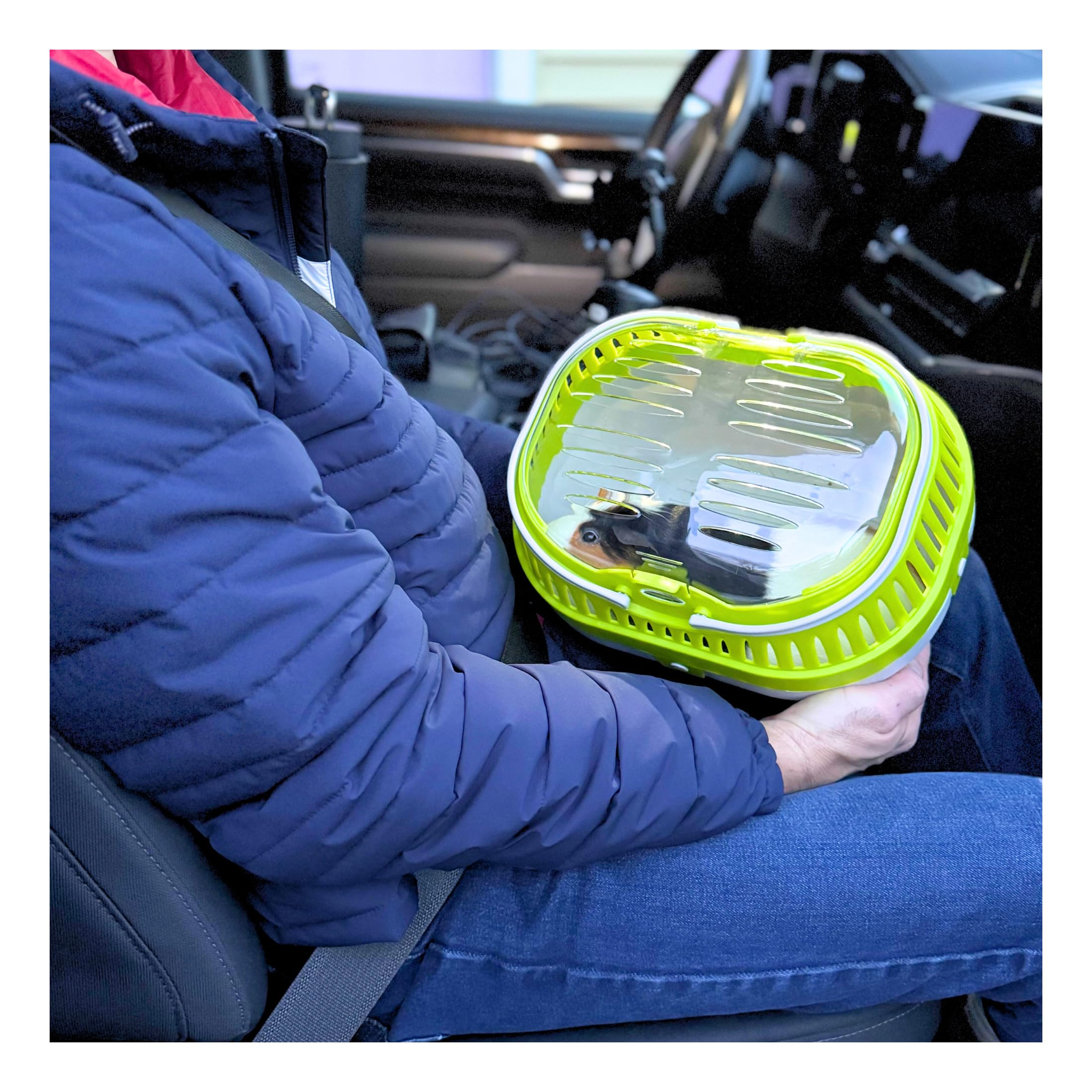 Trixie Pico Transport Crate, Small Pet Carrier, Portable Travel Carrier, For Small Pets, Hamsters, Guinea Pig, Lizards