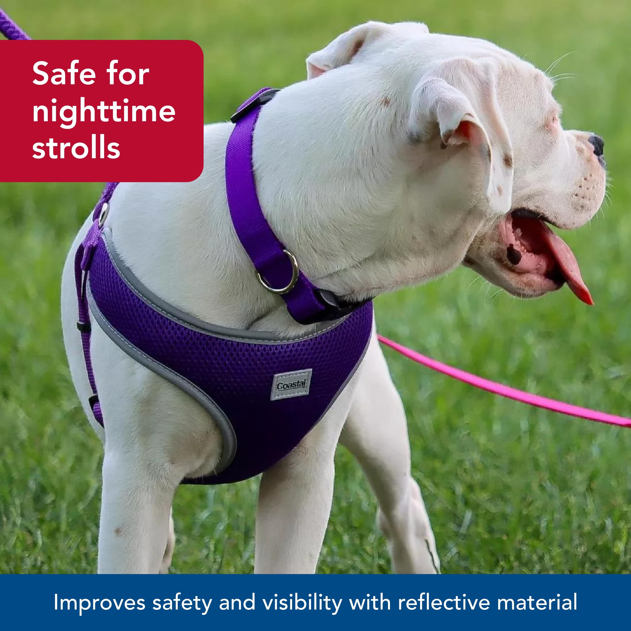 Coastal Pet Comfort Soft Reflective Wrap Adjustable Dog Harness - No-Pull Dog Harness For Small & Large Dogs - Blue Lagoon - 5/8' X 16'–19'