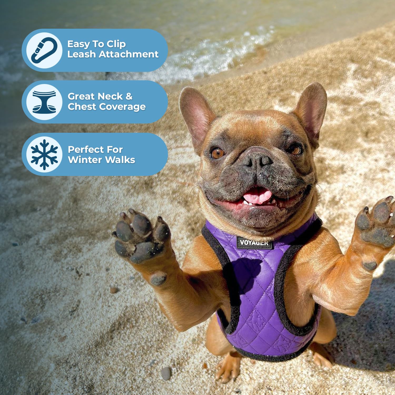 Voyager Step-In Plush Dog Harness - Soft Plush, Step In Vest Harness For Small And Medium Dogs By Best Pet Supplies - Purple Faux Leather, Xl (Chest: 20.5 - 23')