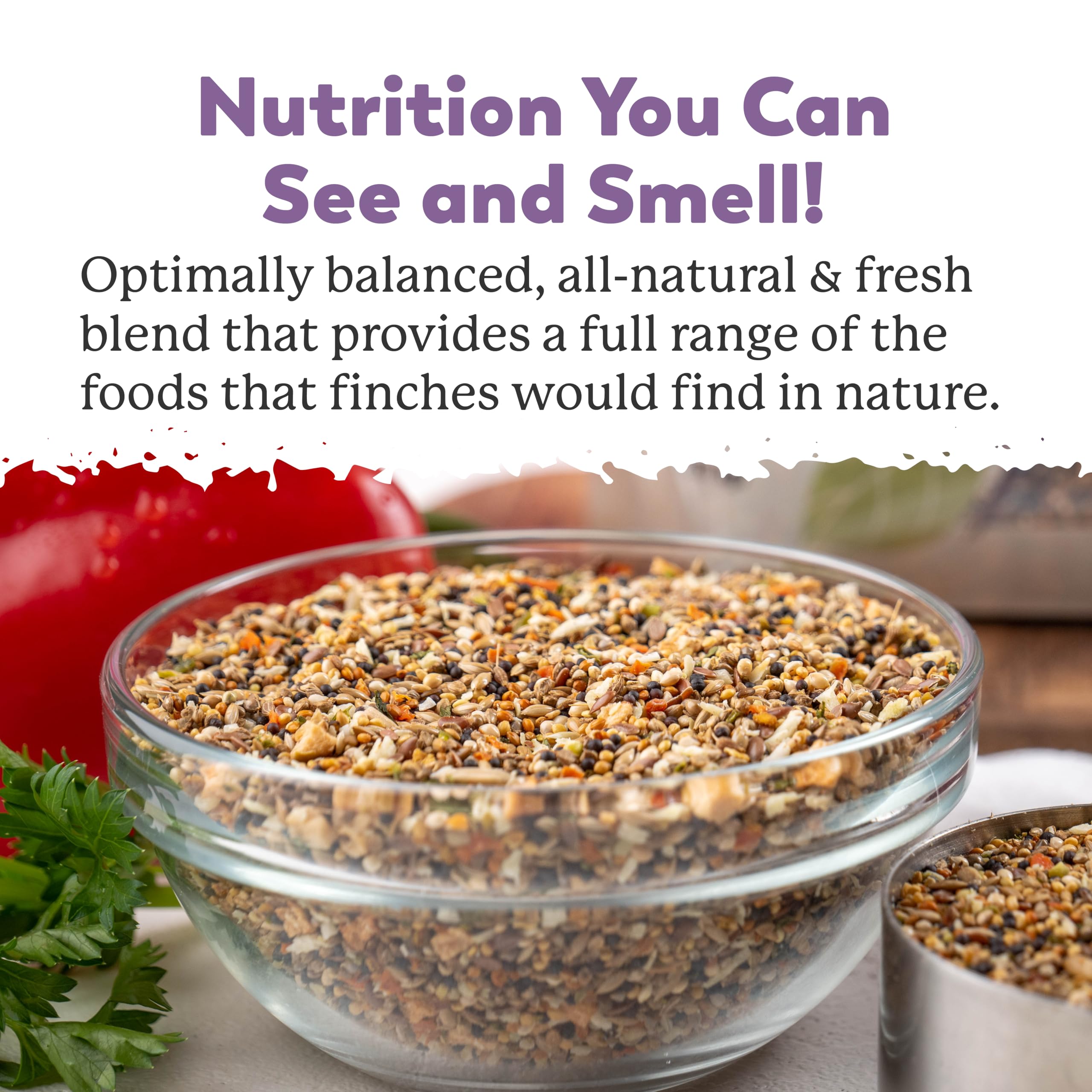 Dr. Harveys Fabulous Finch Food for Outside Feeder and Indoor Birds- Premium Bird Feed with Seeds, Nuts, Fruits, Vegetables for
