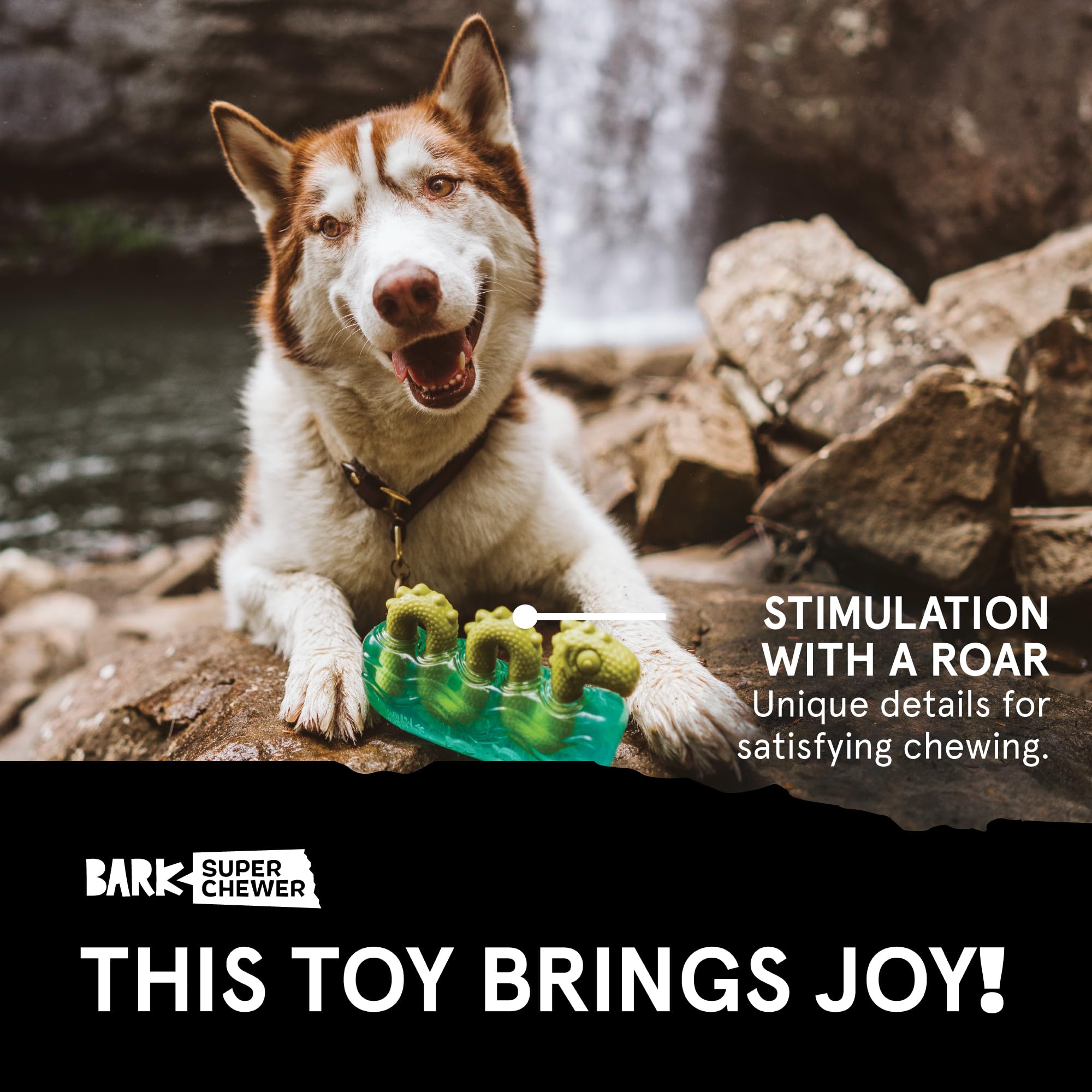 Barkbox Dogness Monster Super Chewer Toy - Tough Dental Toy for Large Aggressive Chewers - Medium/Large Size