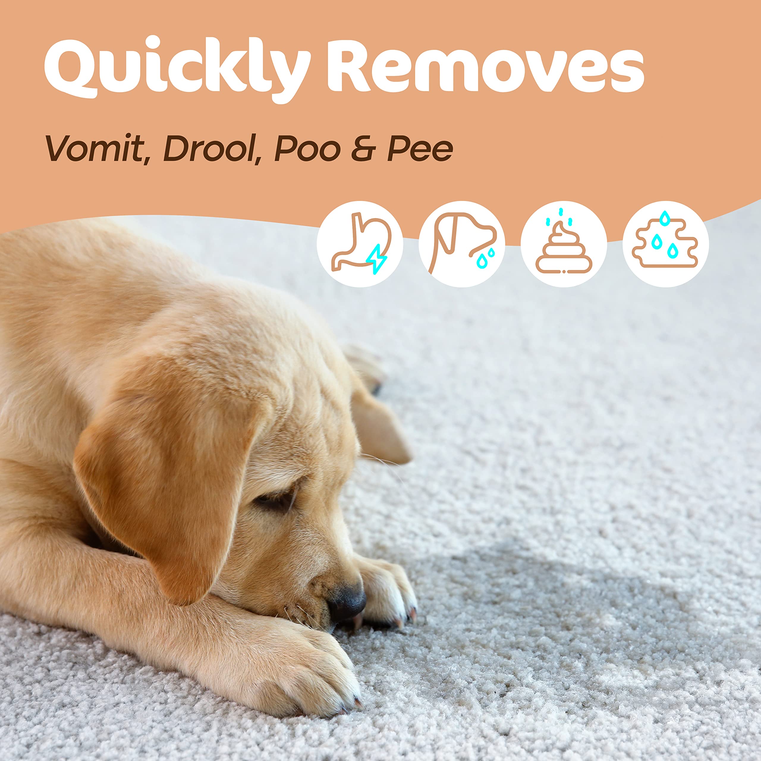 Sunny & Honey Pet Stain & Odor Miracle - Enzyme Cleaner For Dog And Cat Urine, Feces, Vomit, Drool (Fall Spice Scent, 32 Fl Oz)