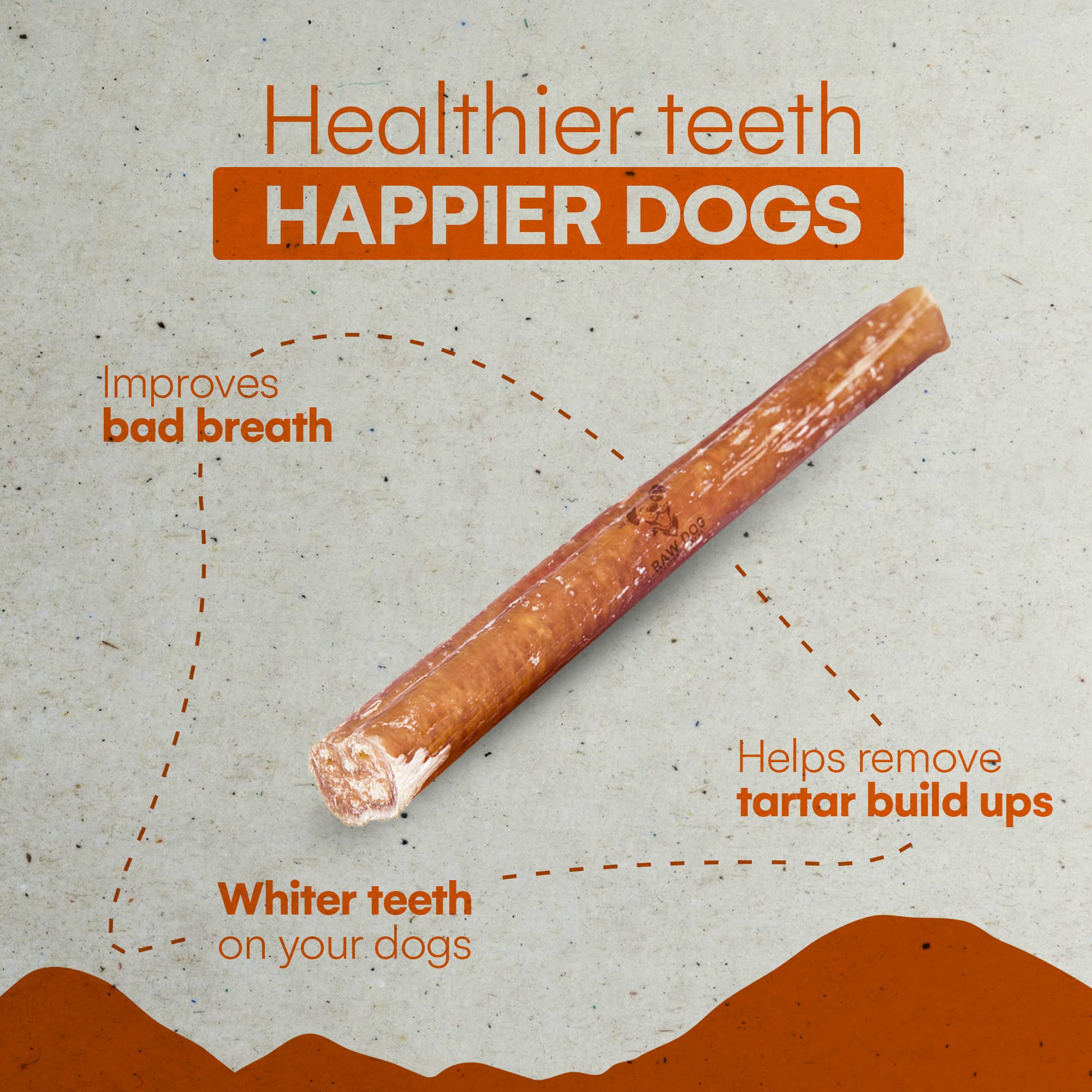 Raw Dog Bully Sticks All-Natural Dog Treats,12 in Regular Size, 3pk - Premium Odor Free Dog Chews, 100% Beef, Grass Fed, Non-GMO