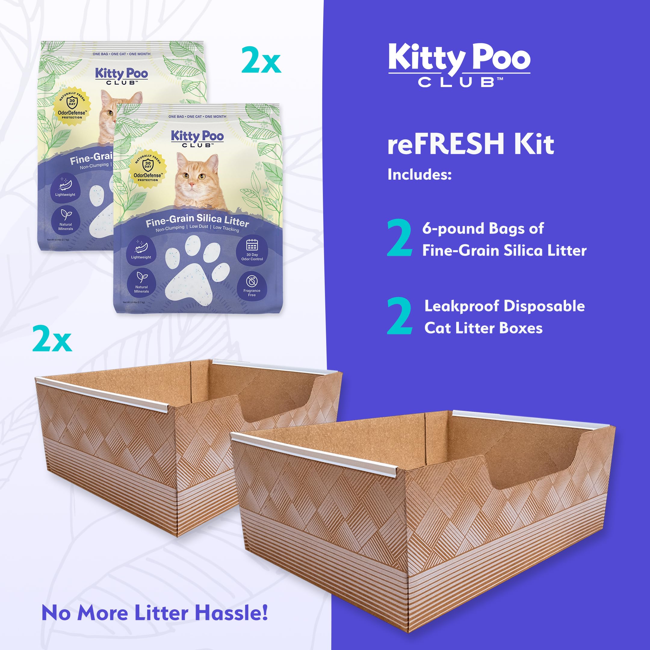 Leakproof Disposable 2-Pack Cat Litter Box With 2 Bags Of 6 Lbs Litters | Superior Odor Control & Recyclable Design | Perfect Fo
