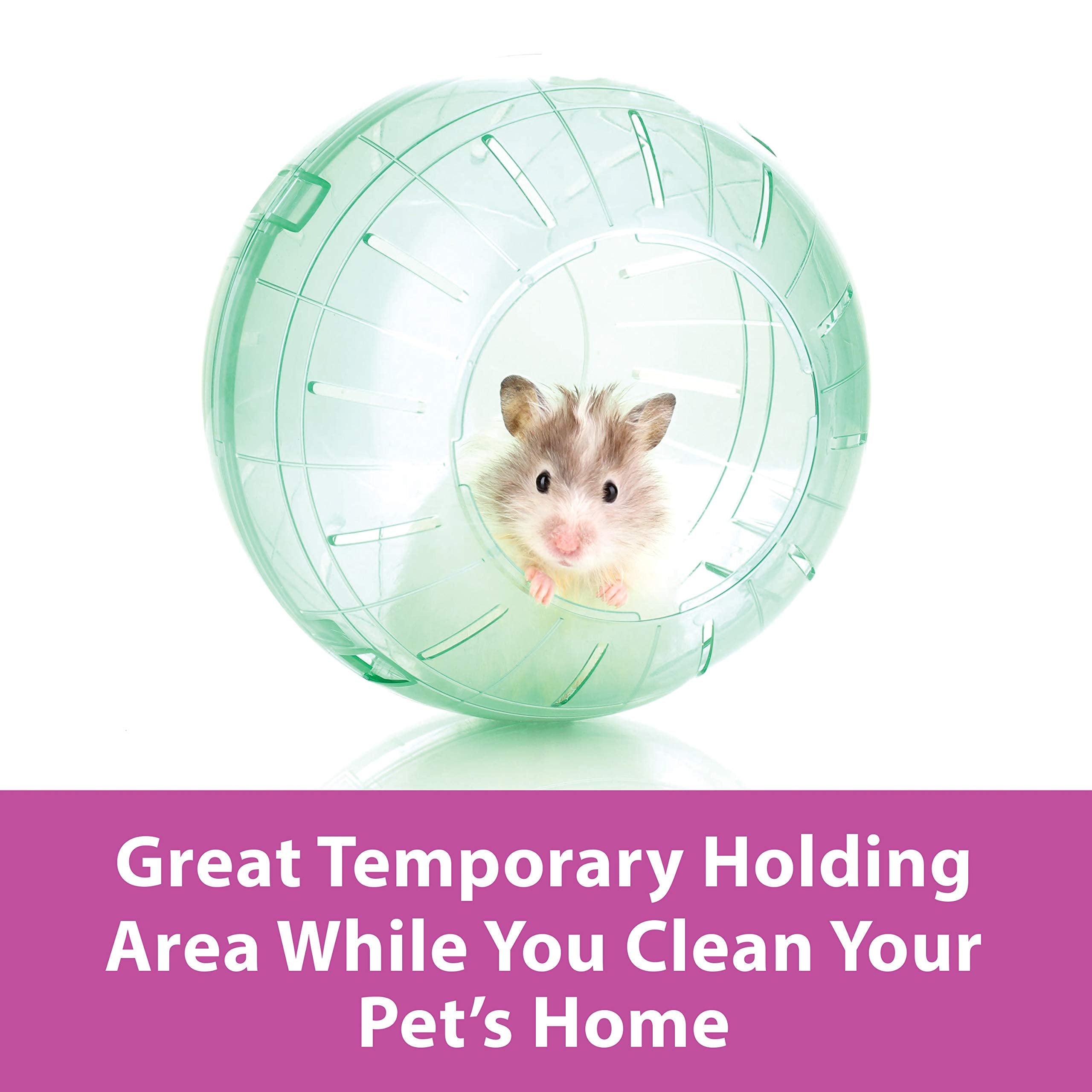 Kaytee 7' Moon Glow Run-About Exercise Ball For Pet Hamsters & Gerbils