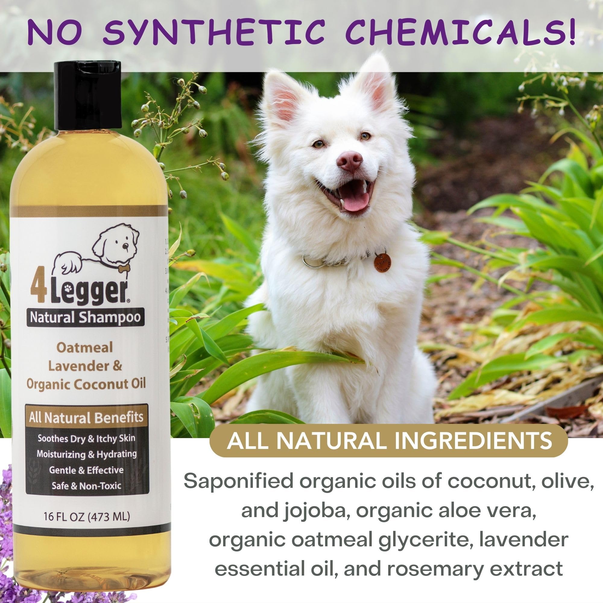 4Legger Organic Dog Shampoo Usda Certified Organic, All Natural Hypoallergenic Dog Shampoo With Oatmeal, Lavender, And Coconut Oil - Organic Oatmeal Shampoo For Dogs - Dog Shampoo For Itchy Skin 16 Oz
