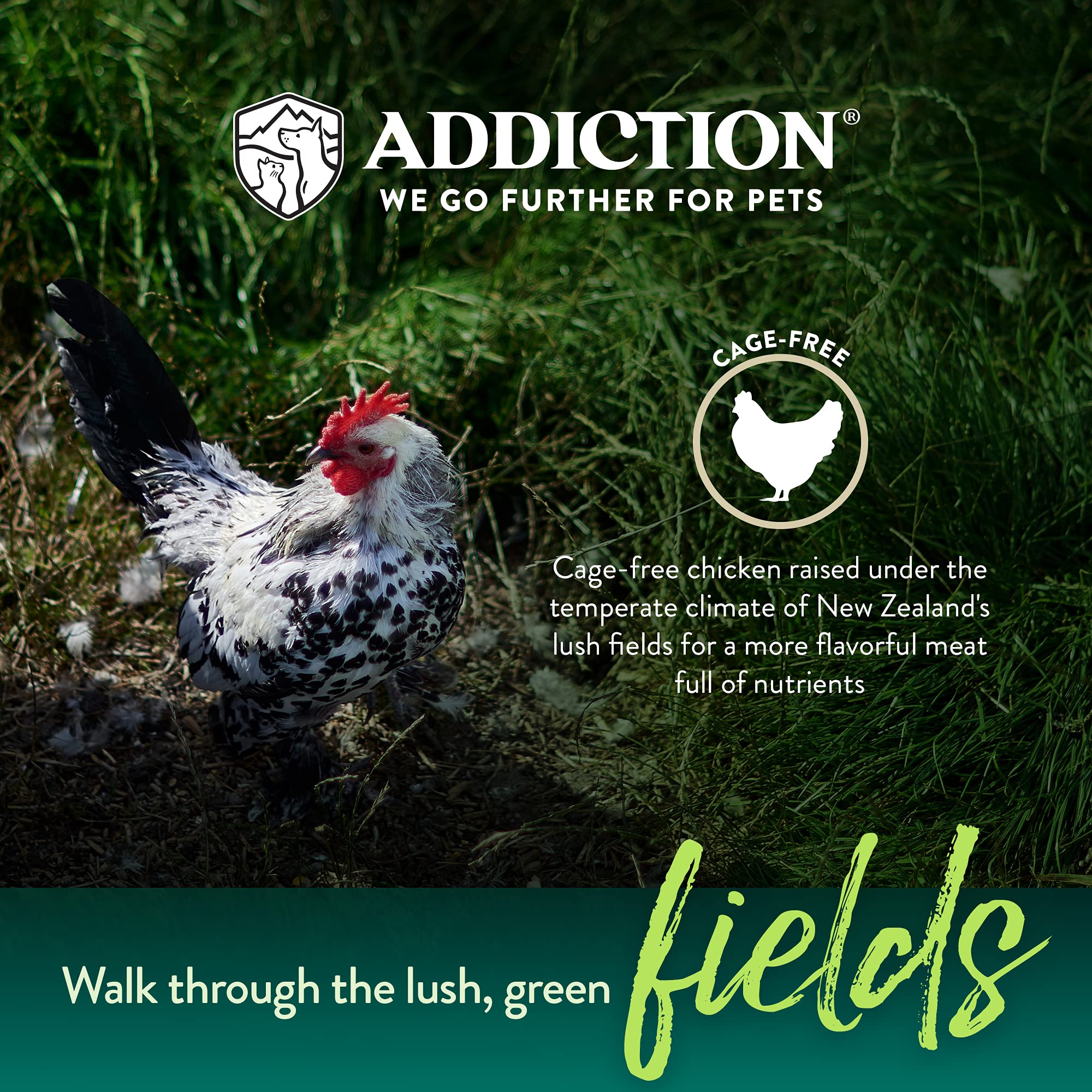 Addiction Country Chicken & Apricot Air-Dried Grain-Free Dog Food - Complete Meal or Topper with Natural Ingredients for Digesti
